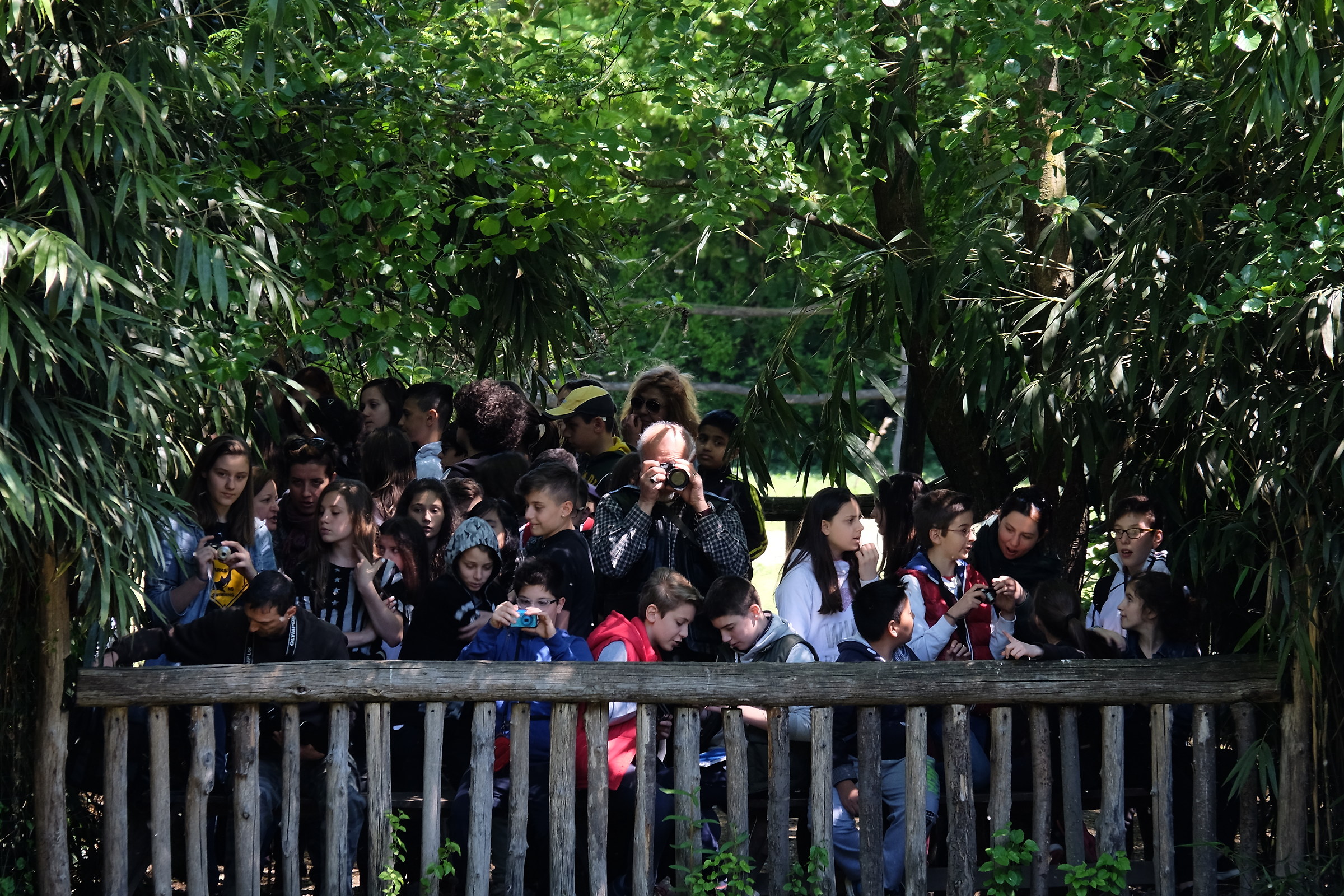 Tranquillo safari fotografico nel silenzio della natura