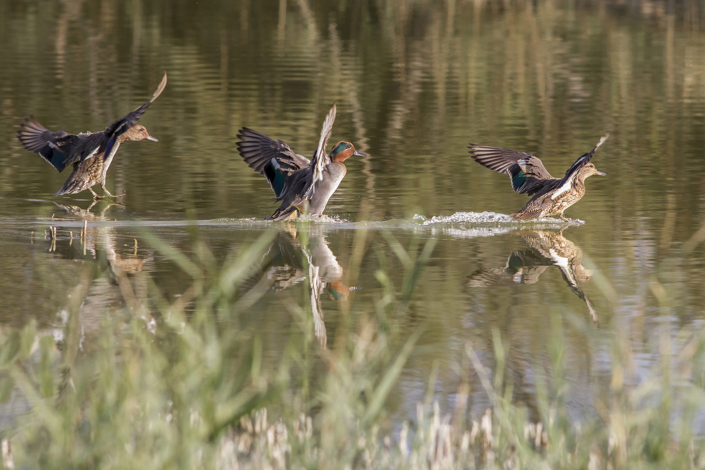 Distanza di sicurezza rispettata