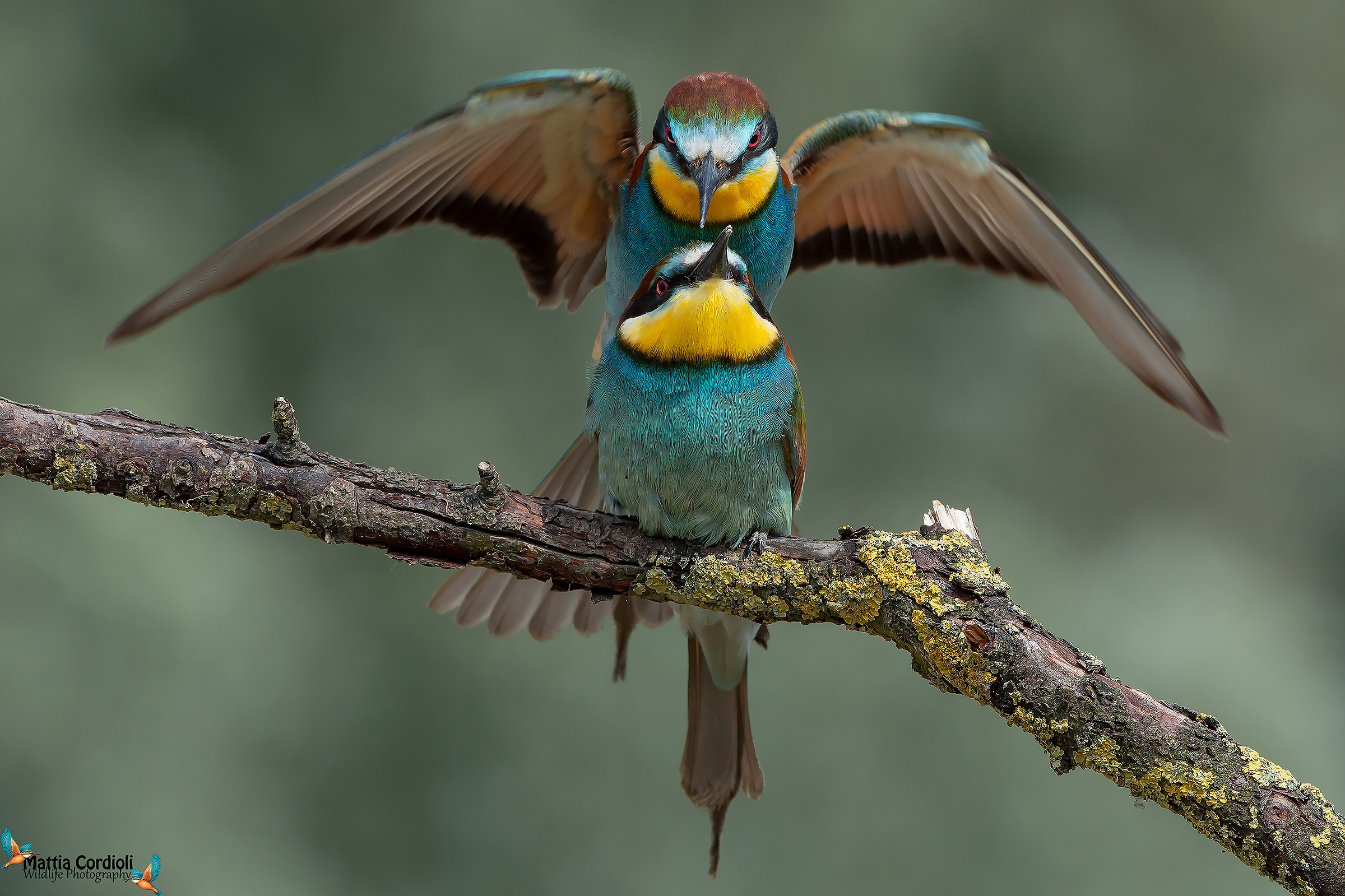 The last efforts ...