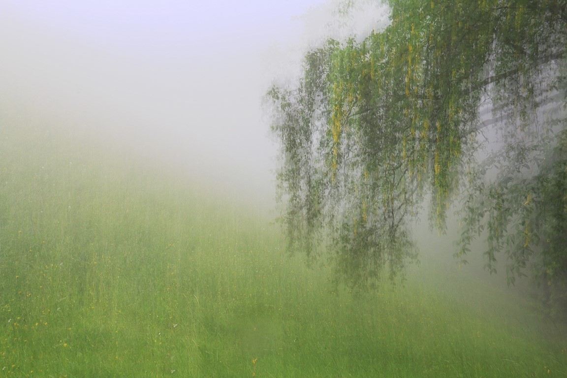 The fog to the steep hills ...