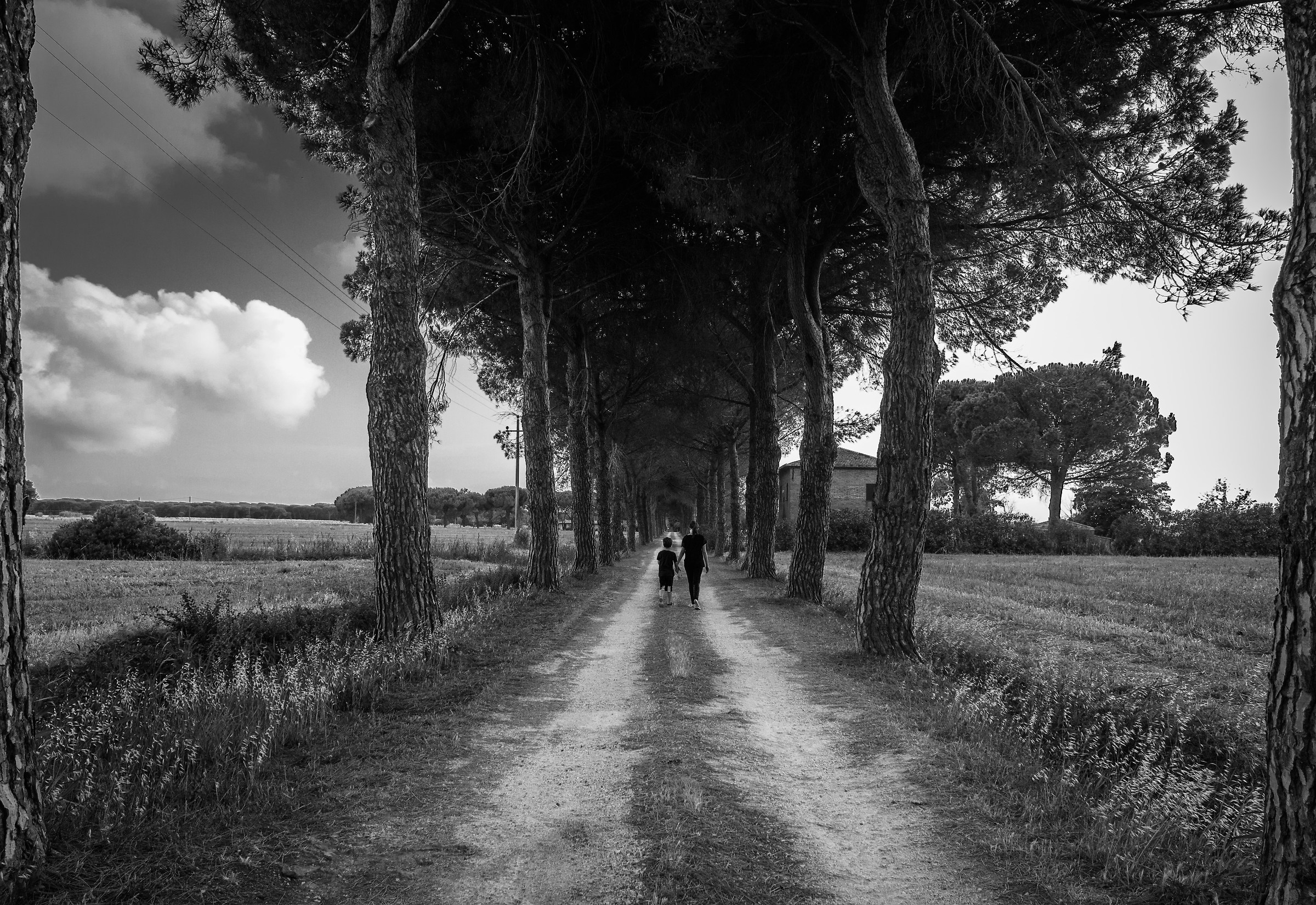 Together, on the way