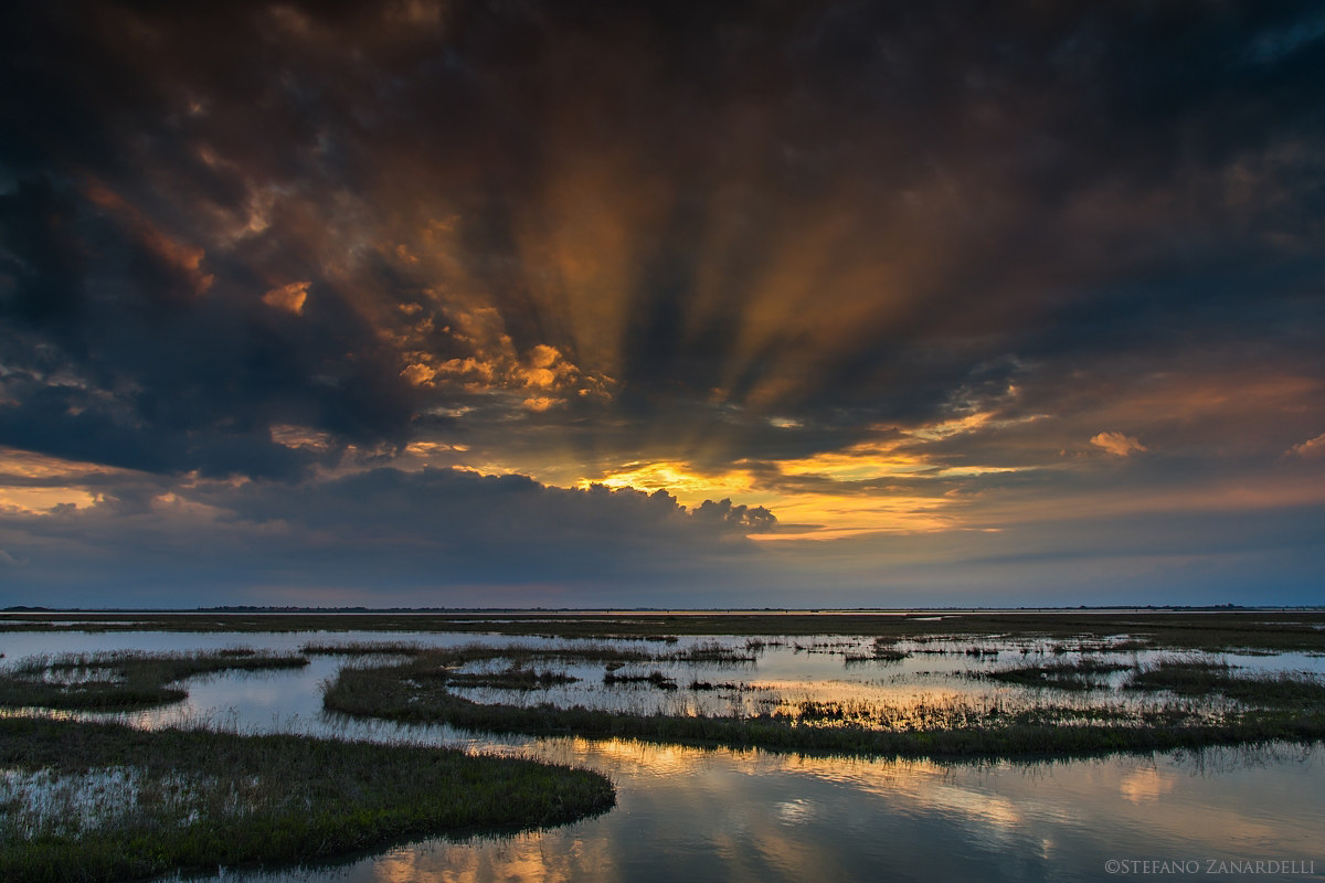 Hint of sunset in the swamp ...