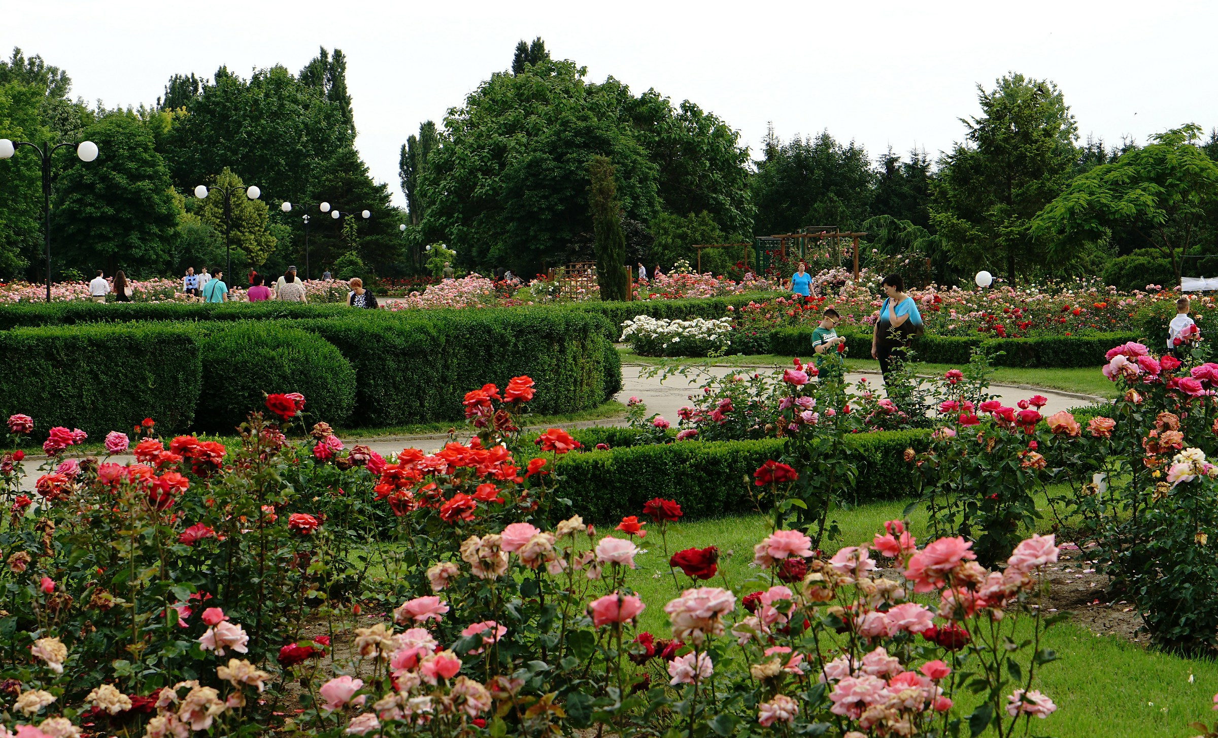 Galati, Botanic Garden