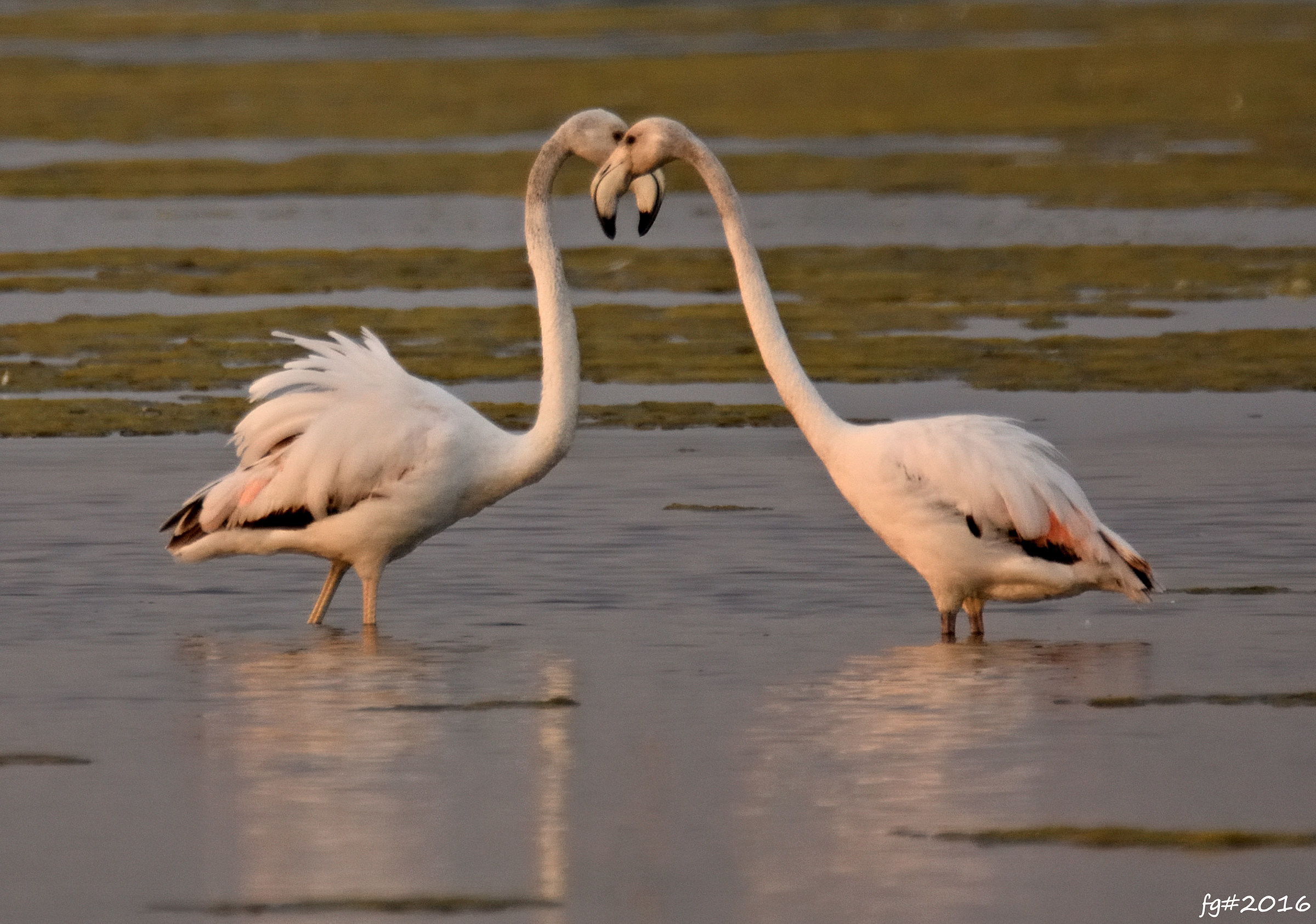 dangerous intersections