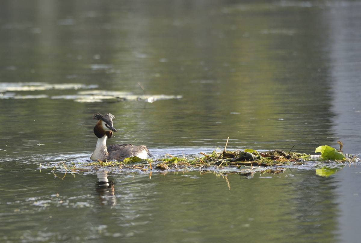 River Sile locations casier