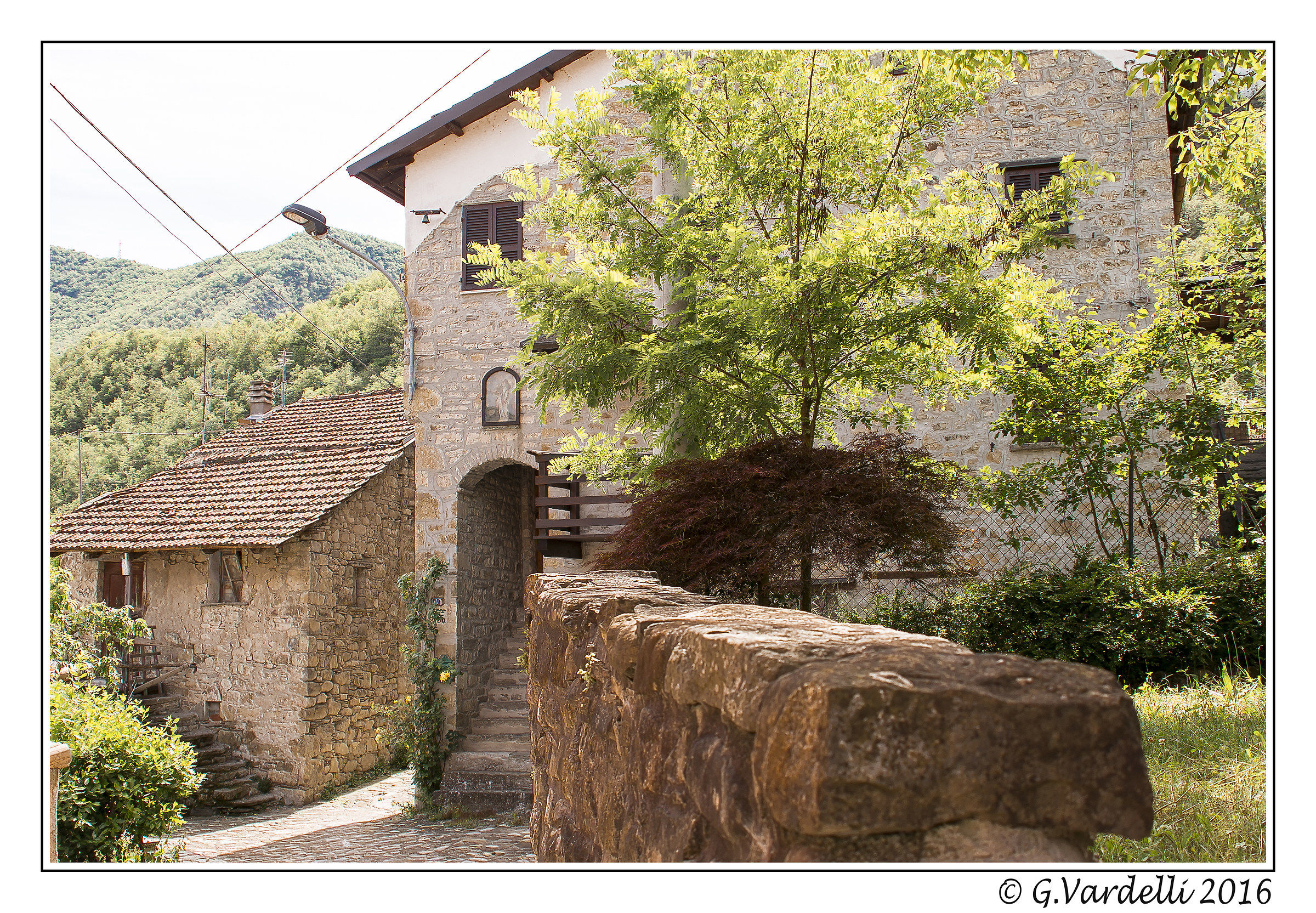 Confiente of Cortebrugnatella (Marsaglia)