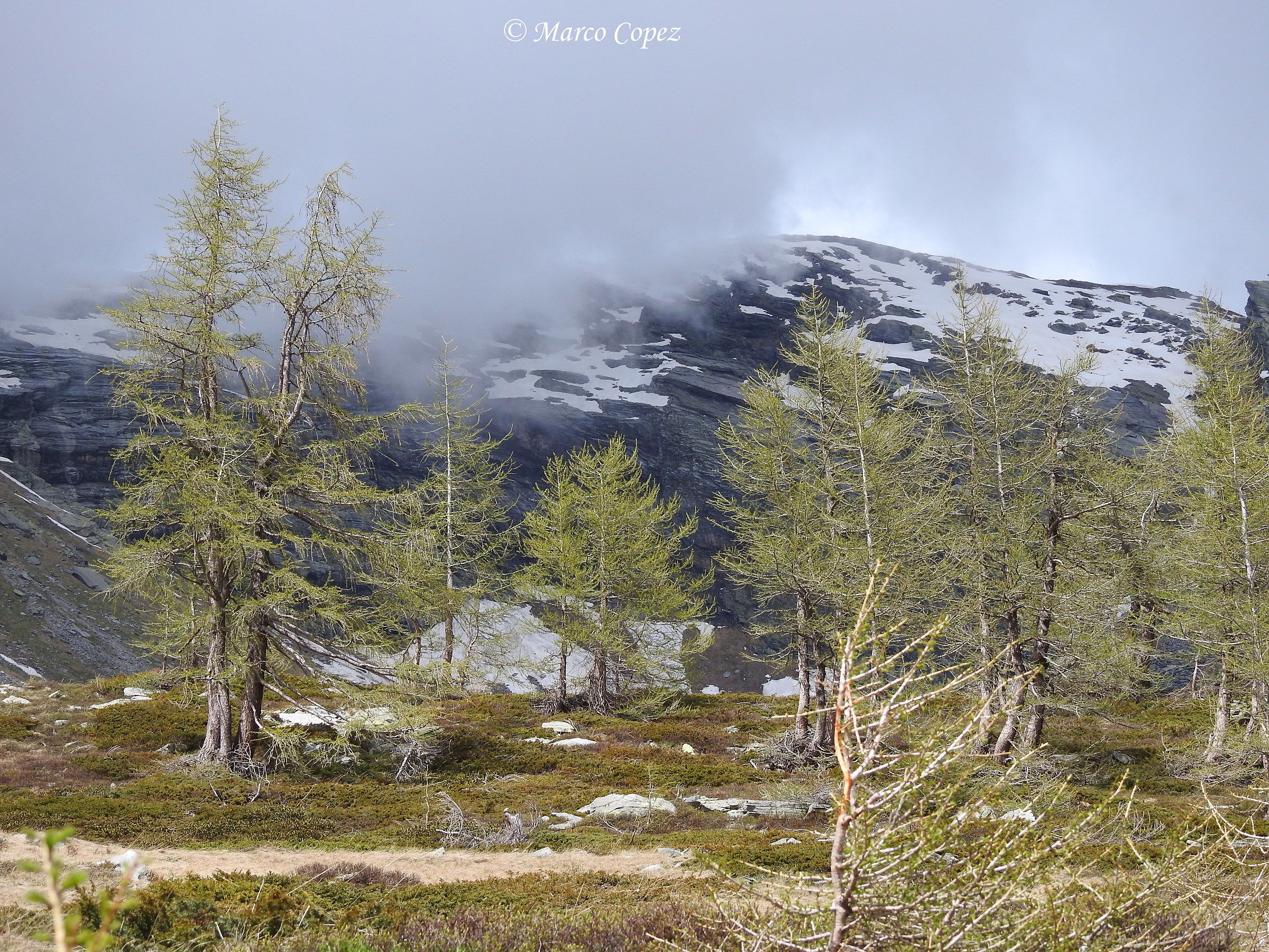 Monscera-Alta Valle Bognanco - Piemonte (Italy)