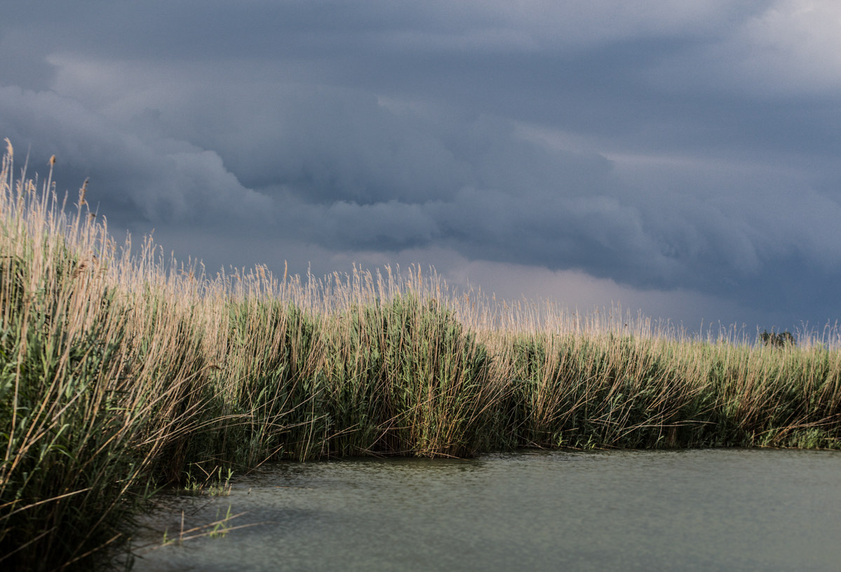 The queen of the delta