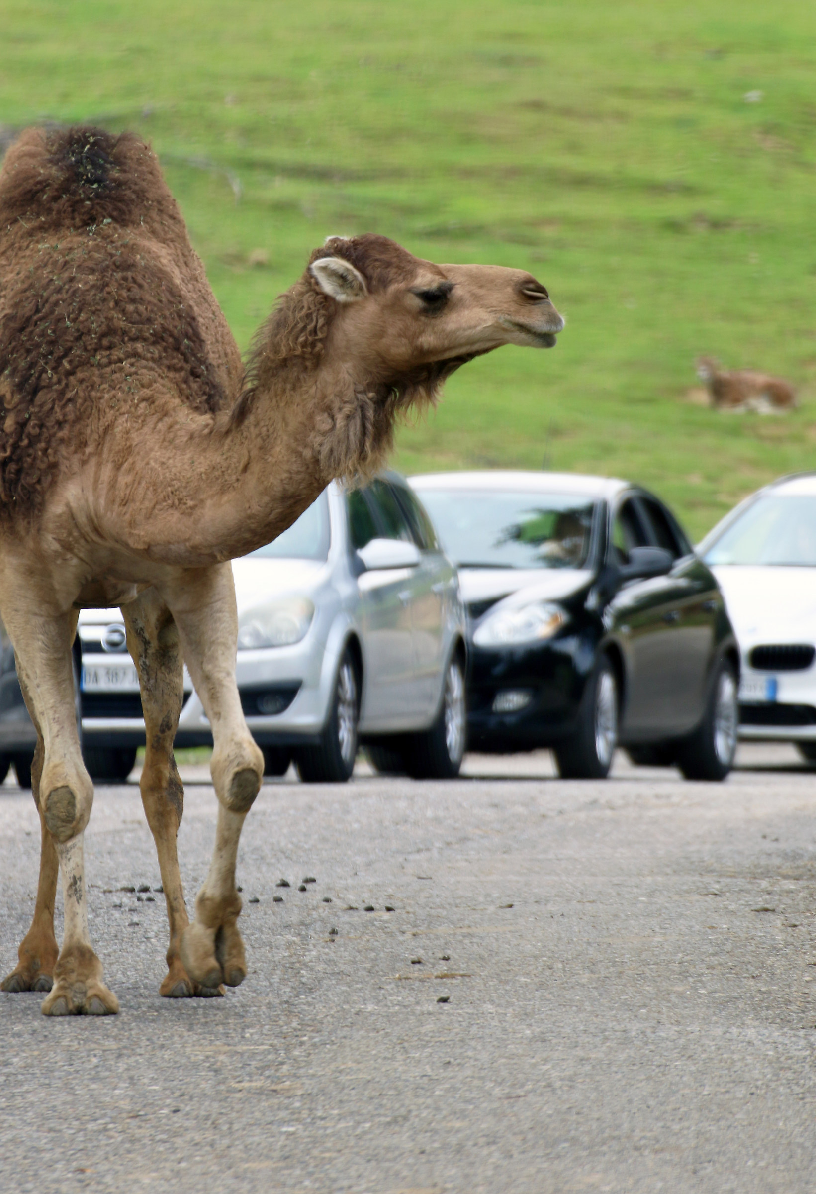 That's who makes the traffic ...