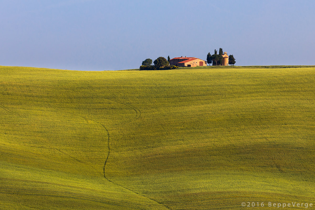 L'oro della Toscana