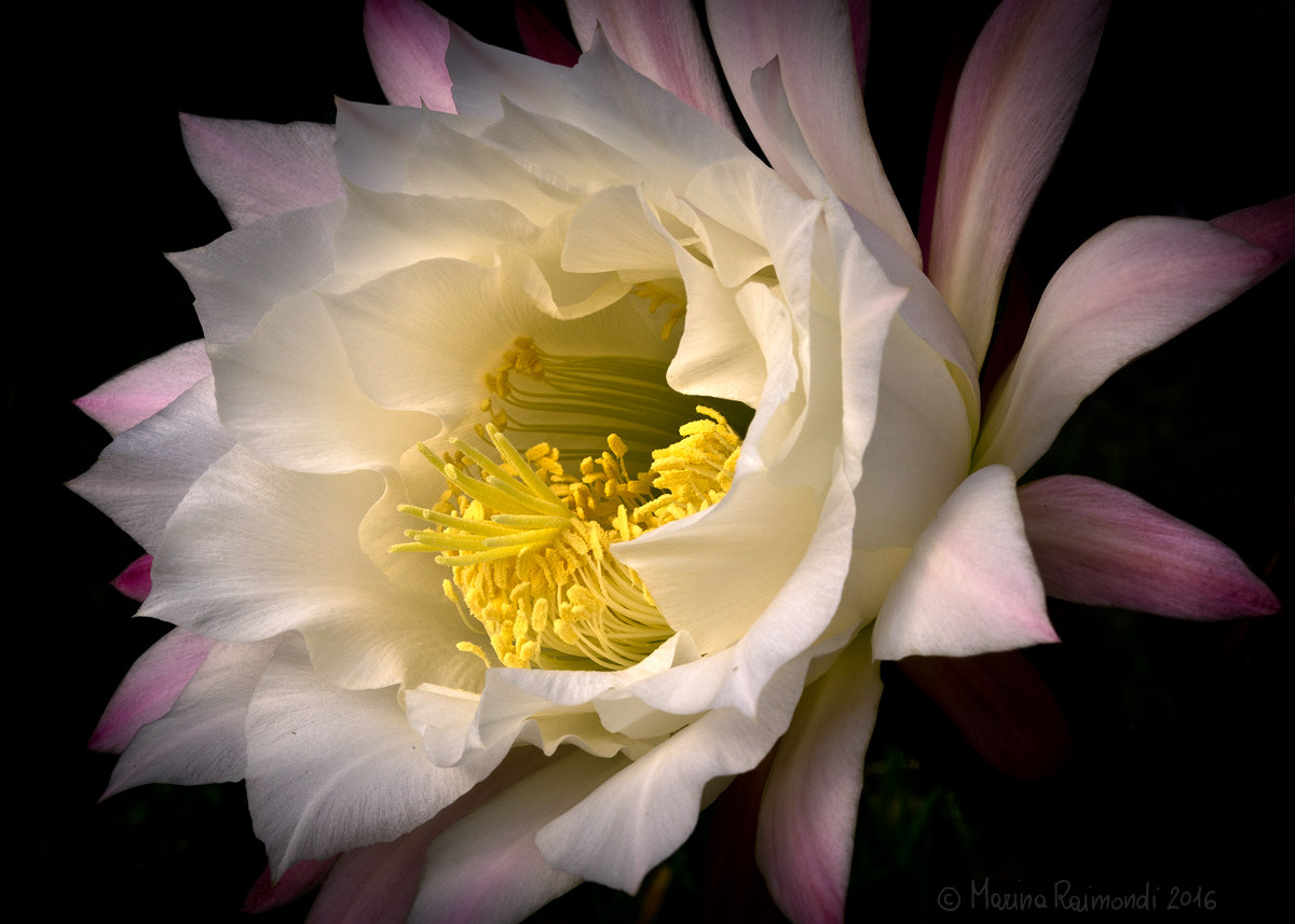 The emotion of a day 02