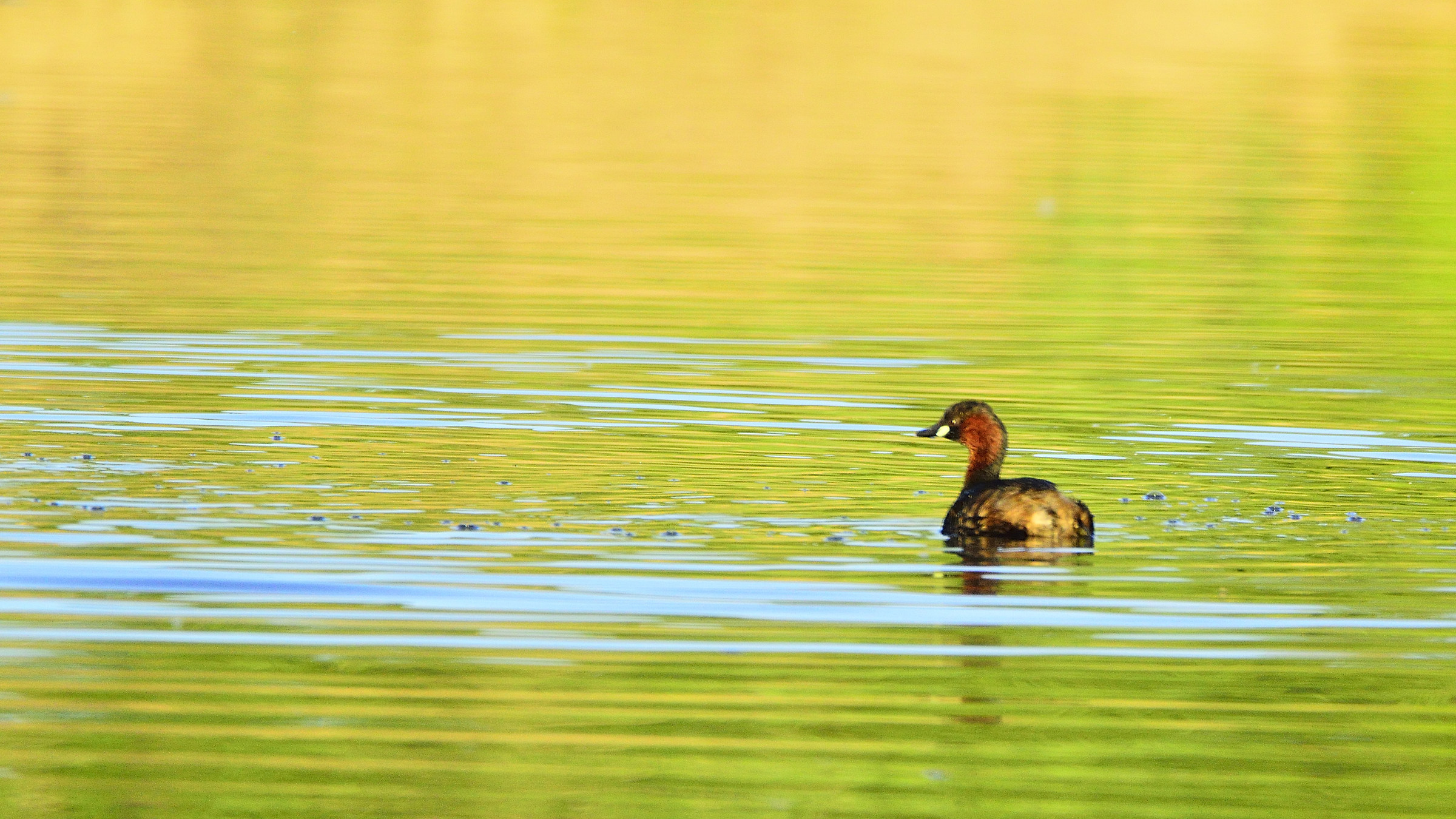 Lights and colors at sunset