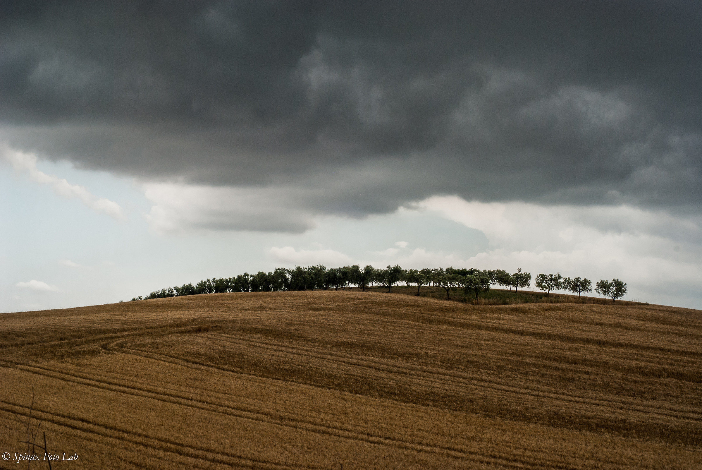 Il giorno del giudizio
