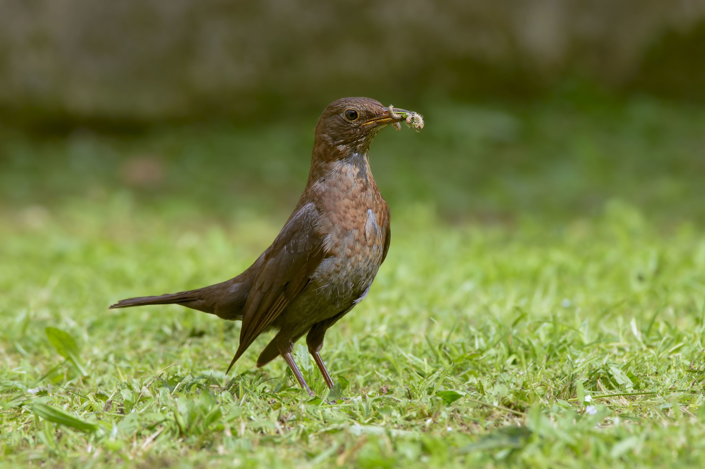Sono bella e vanitosa, io!