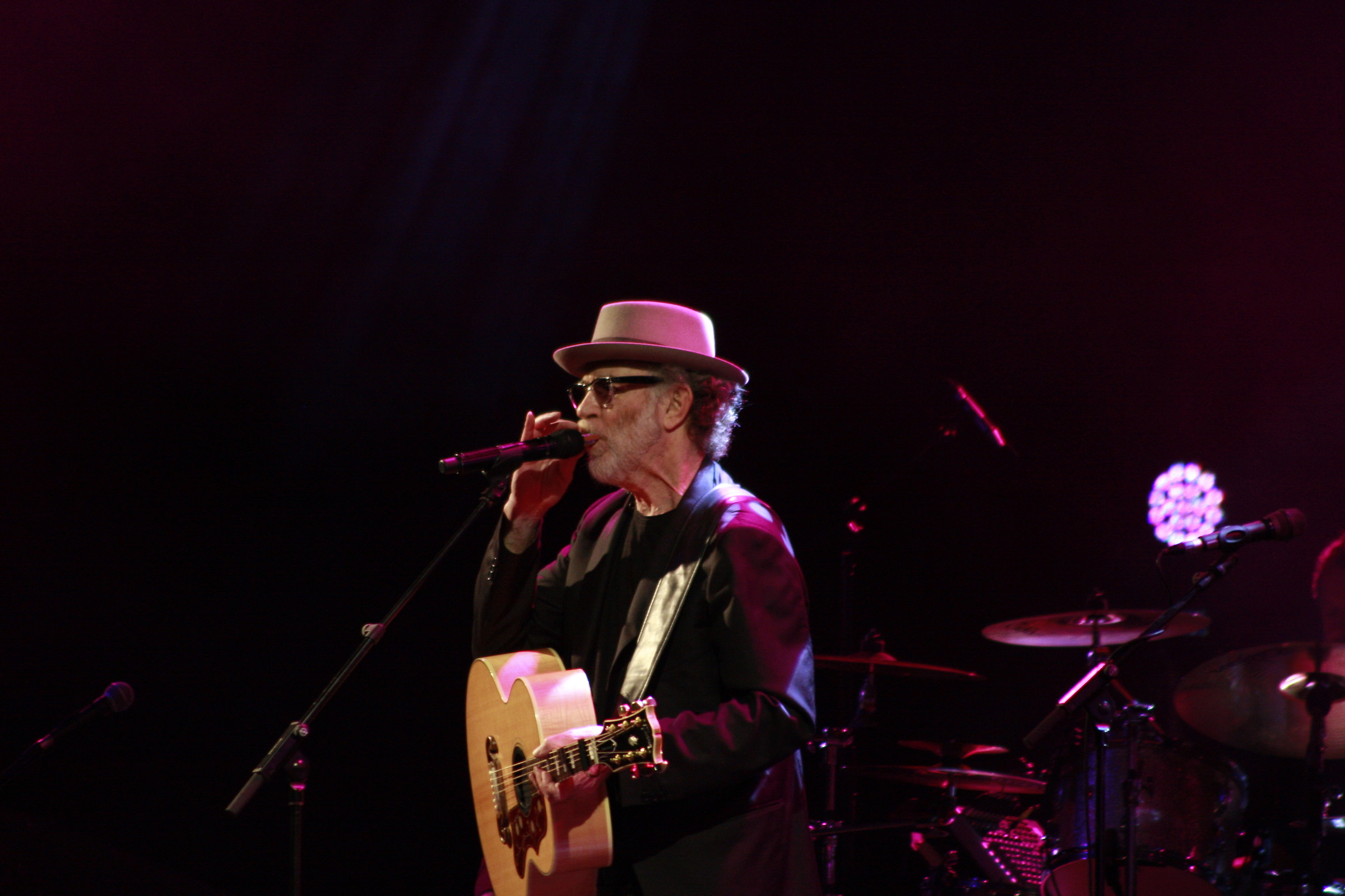 chitarra, fisarmonica e De Gregori.