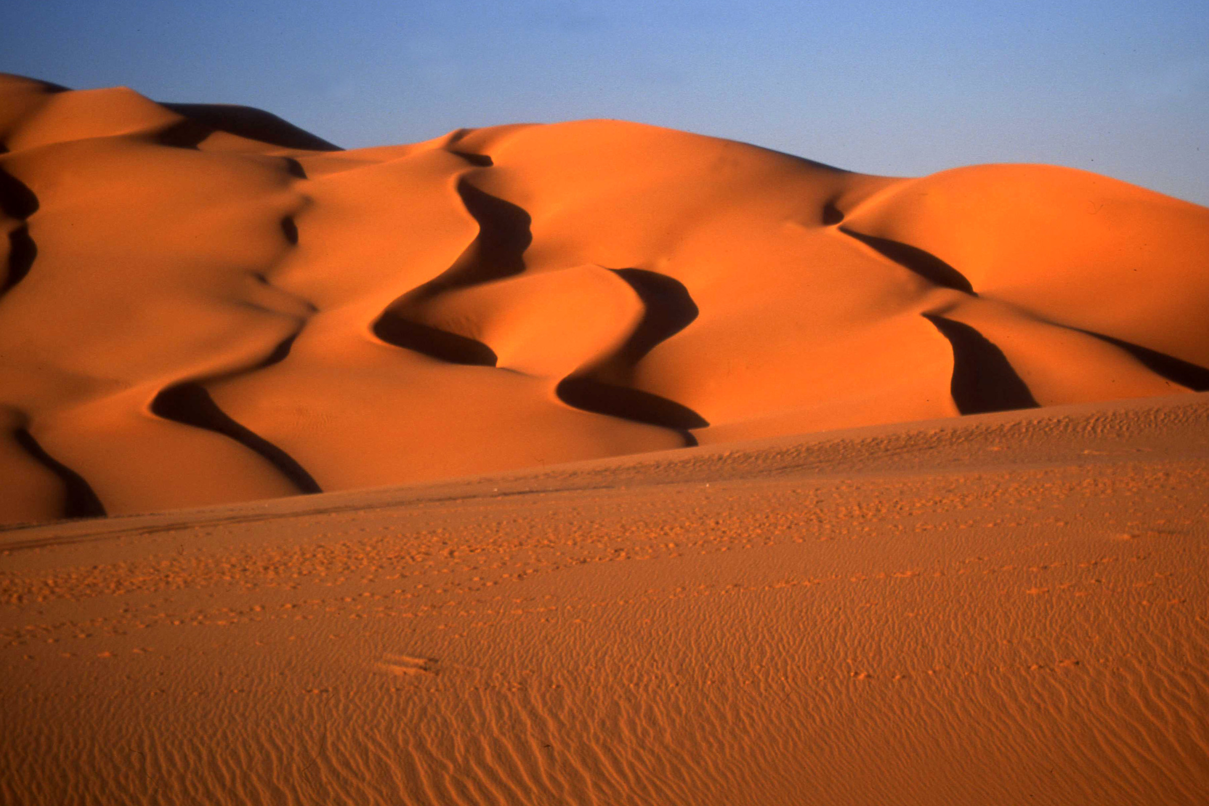 evening shadows in the Libyan Sahara