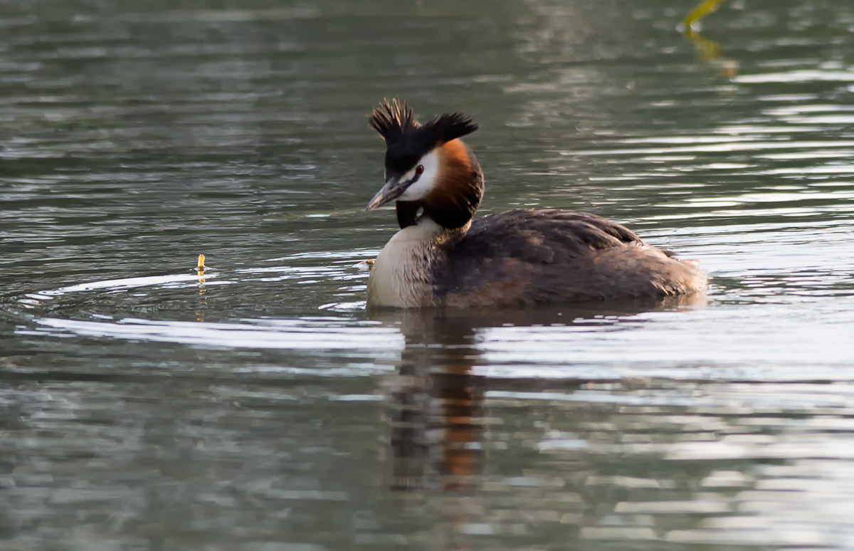 River Sile locations casier