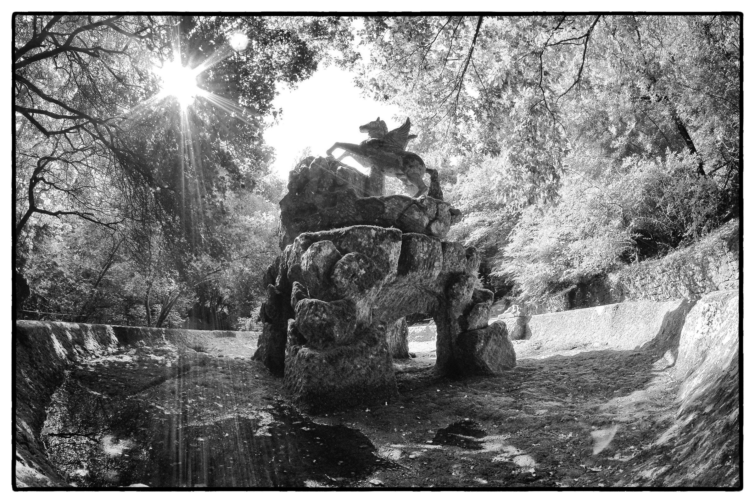 cavalcando verso il sole