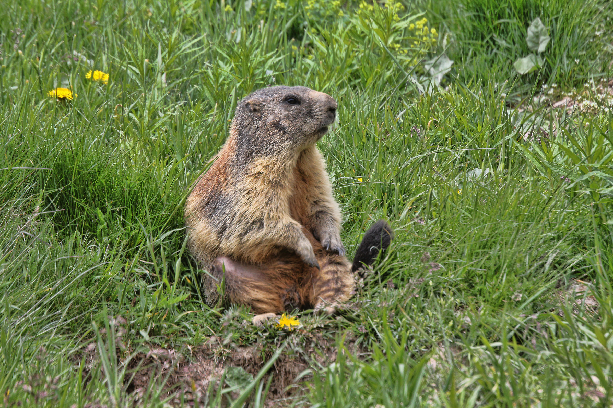 how boring making the model, now I sit and I rest