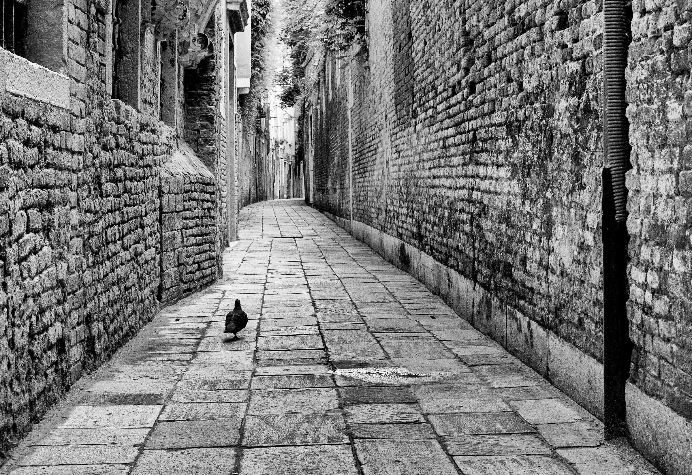 the master of the road