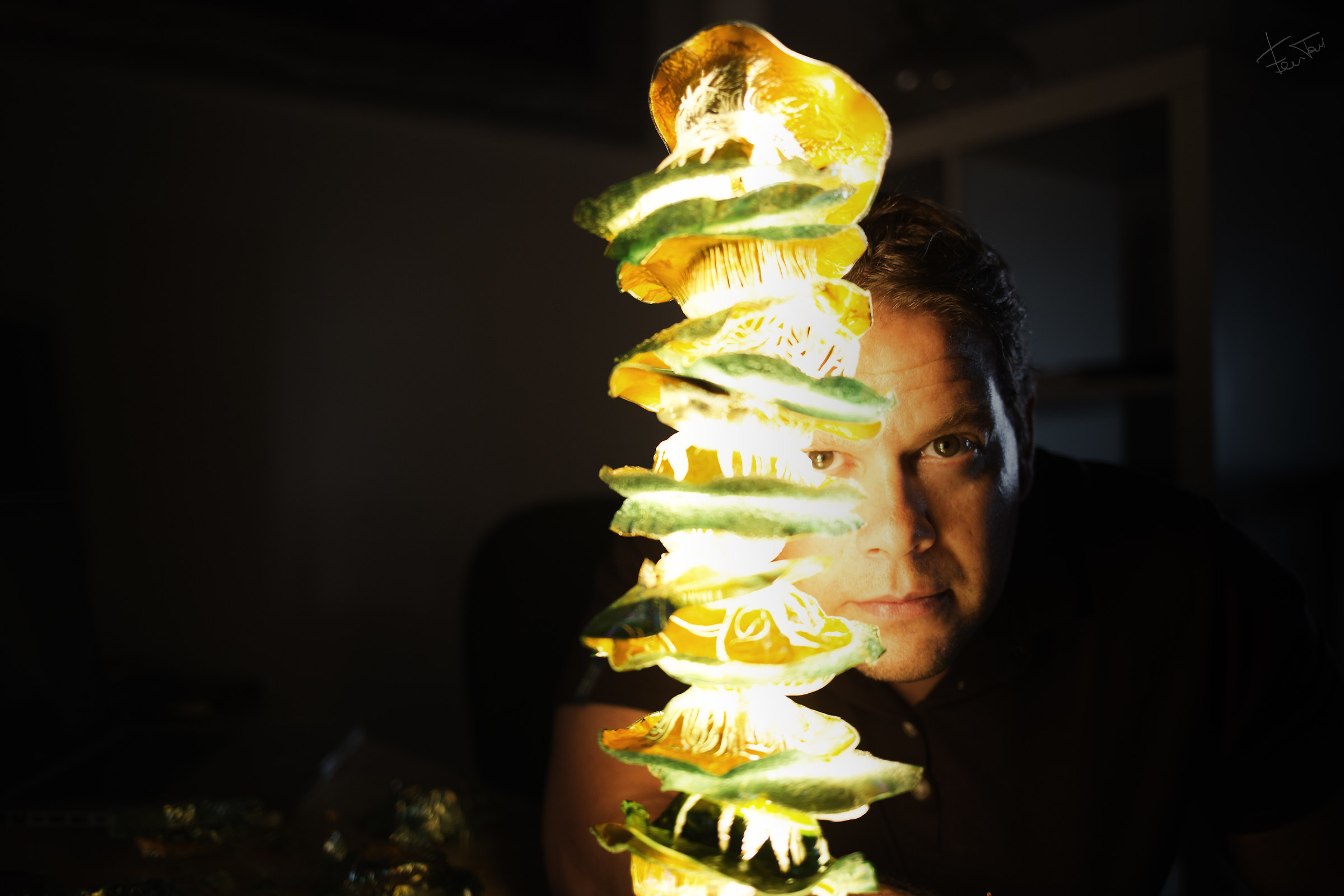 a portrait of the artist