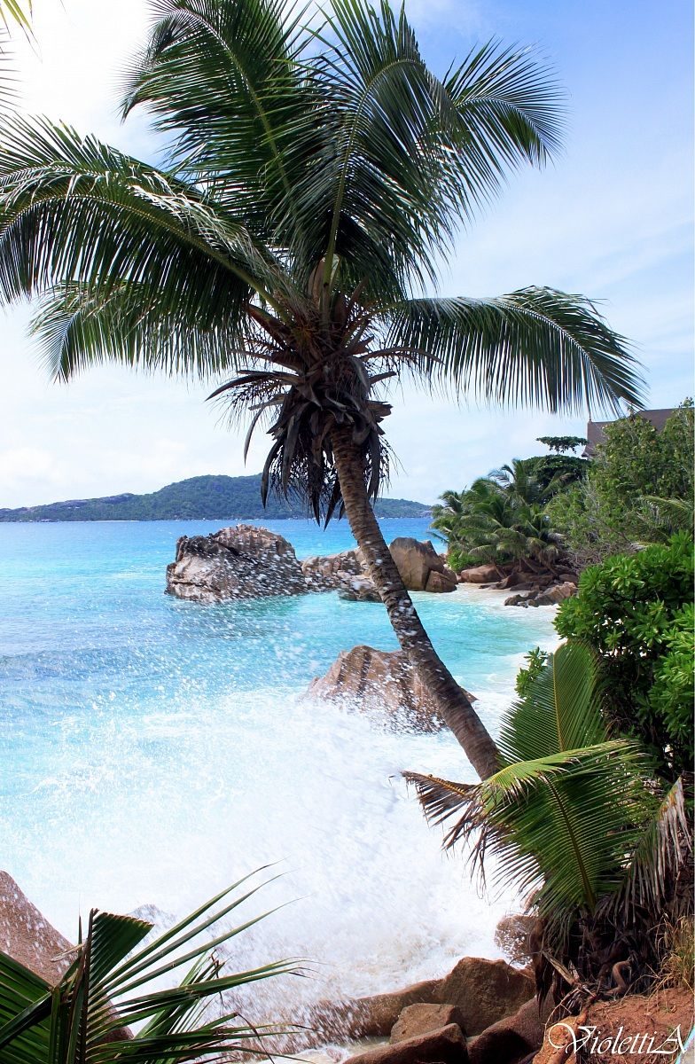 Patates Anse - Seychelles