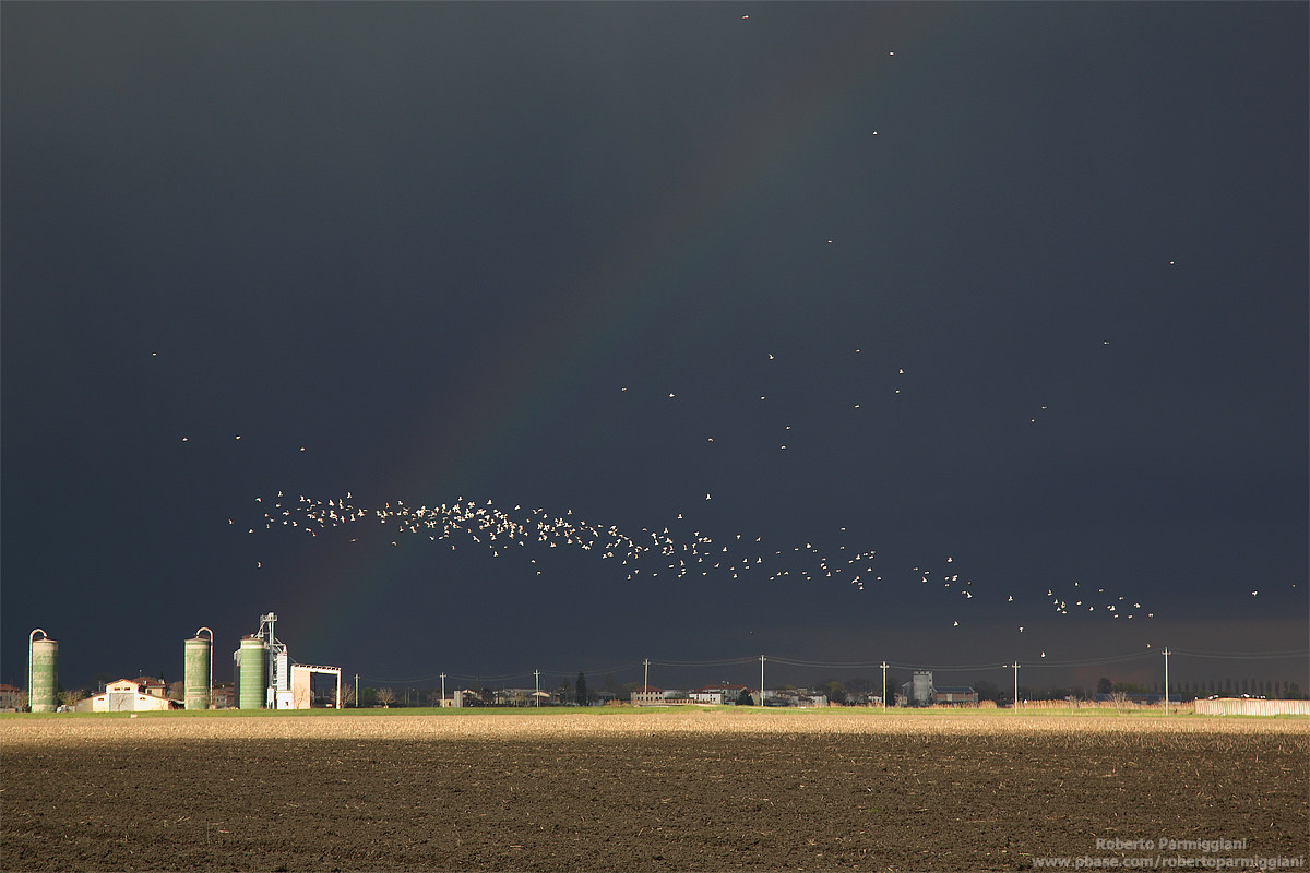 Flying to an uncertain future