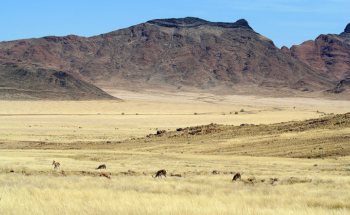 Namib Desert, Namibia