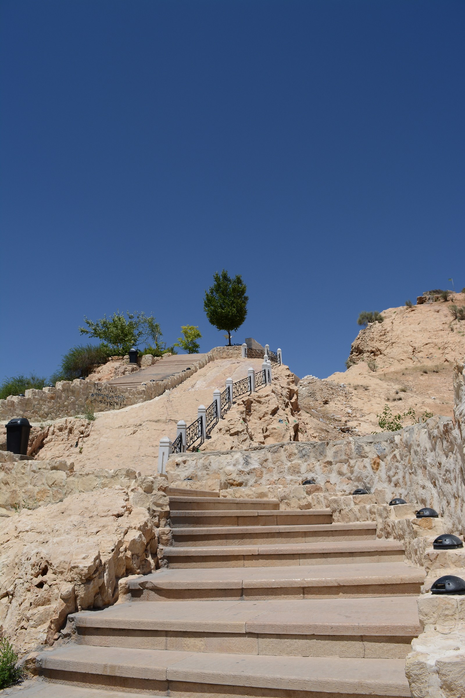 Shiraz Del`gosha Garden