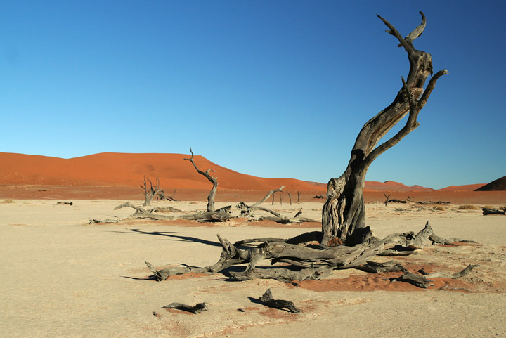 Dead Vlei, Namibia