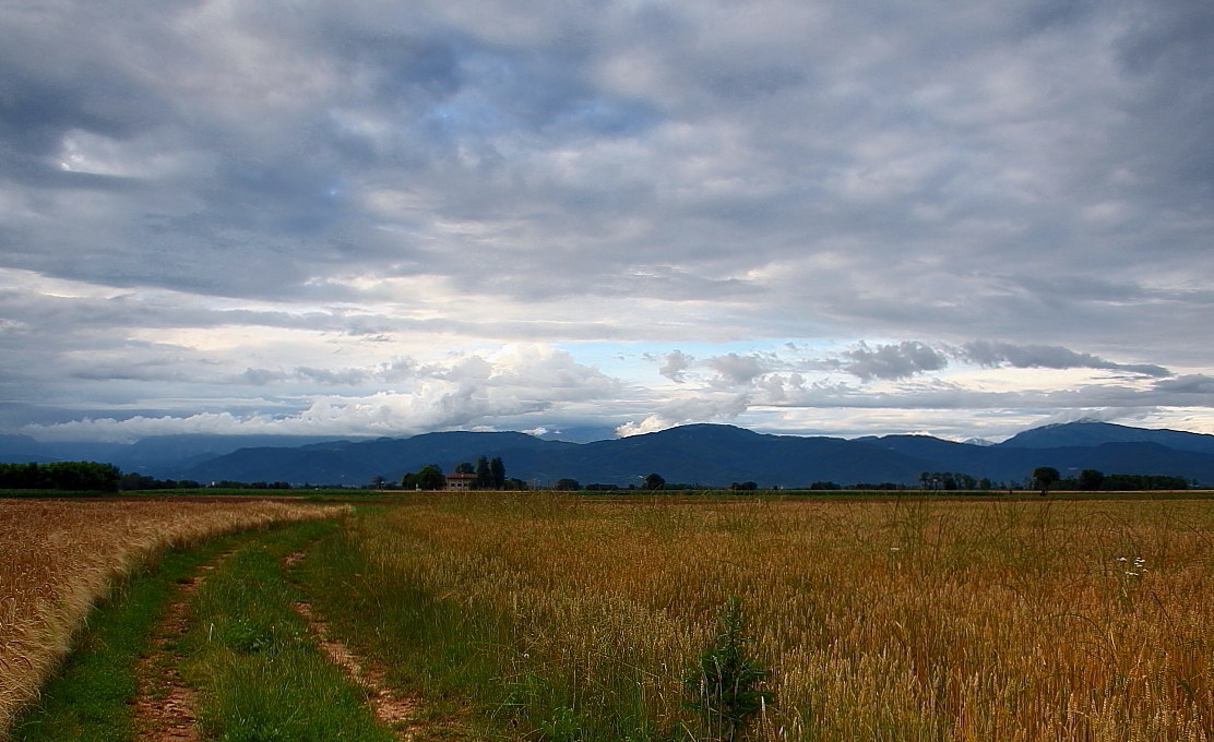 Friuli plain