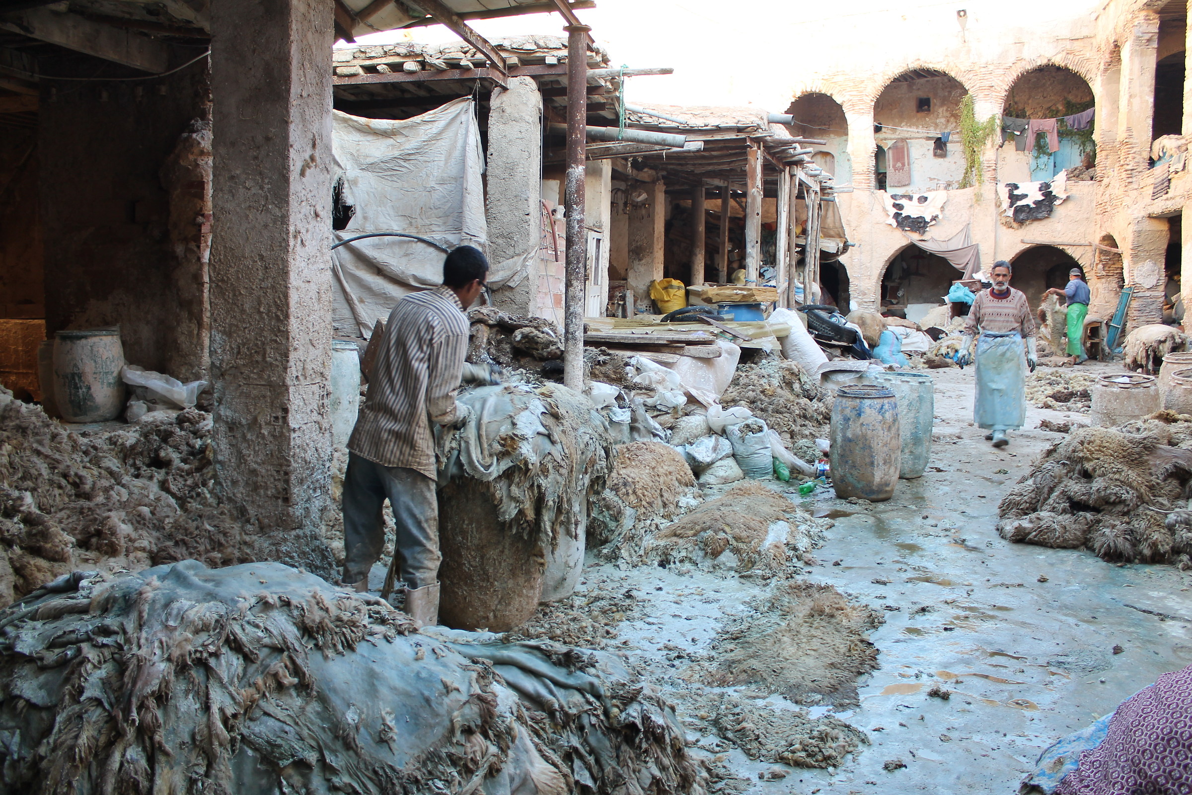 Tannery in Fes