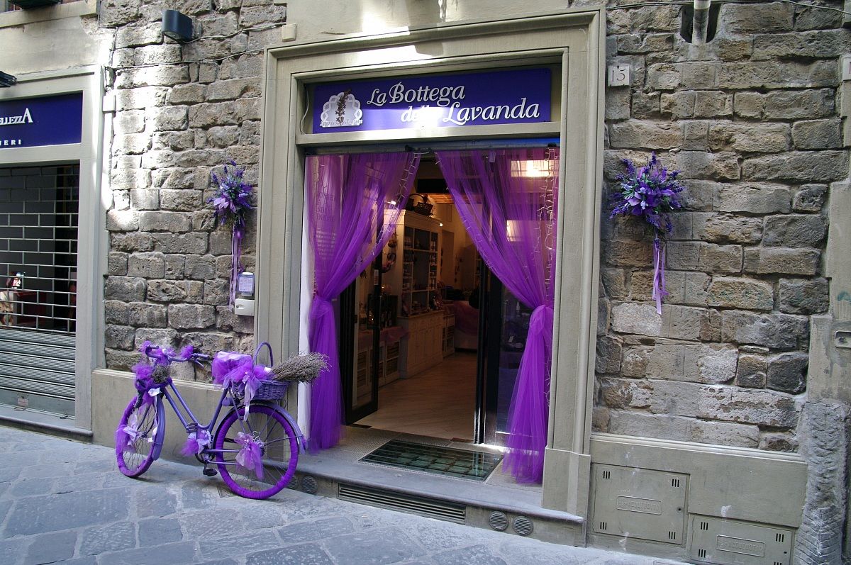 The Bike Lavender .....