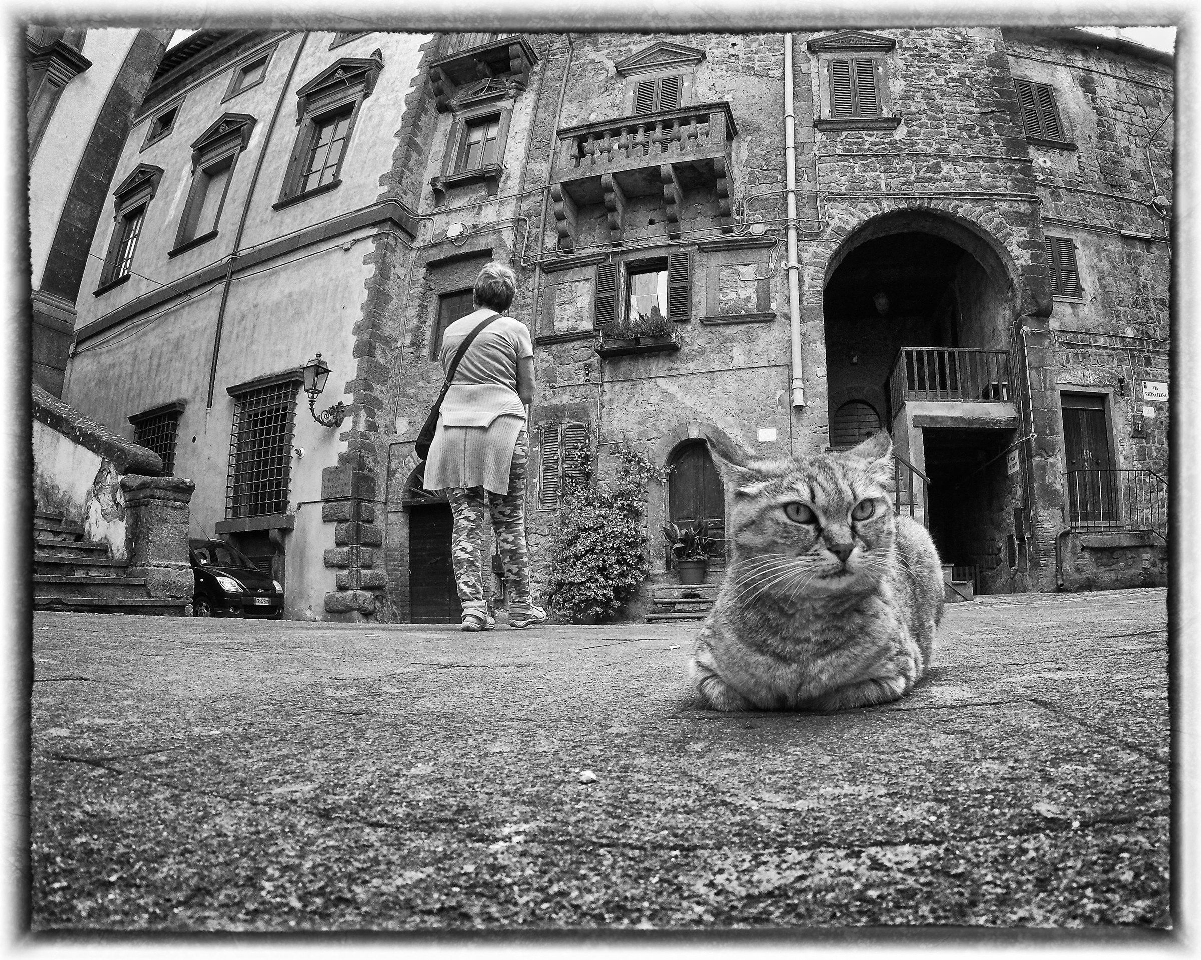 The guardian of the square