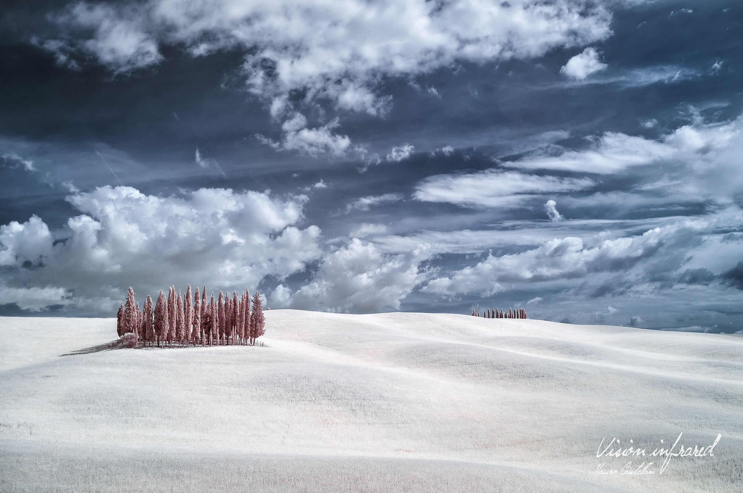 Il Boschetto di Cipressi