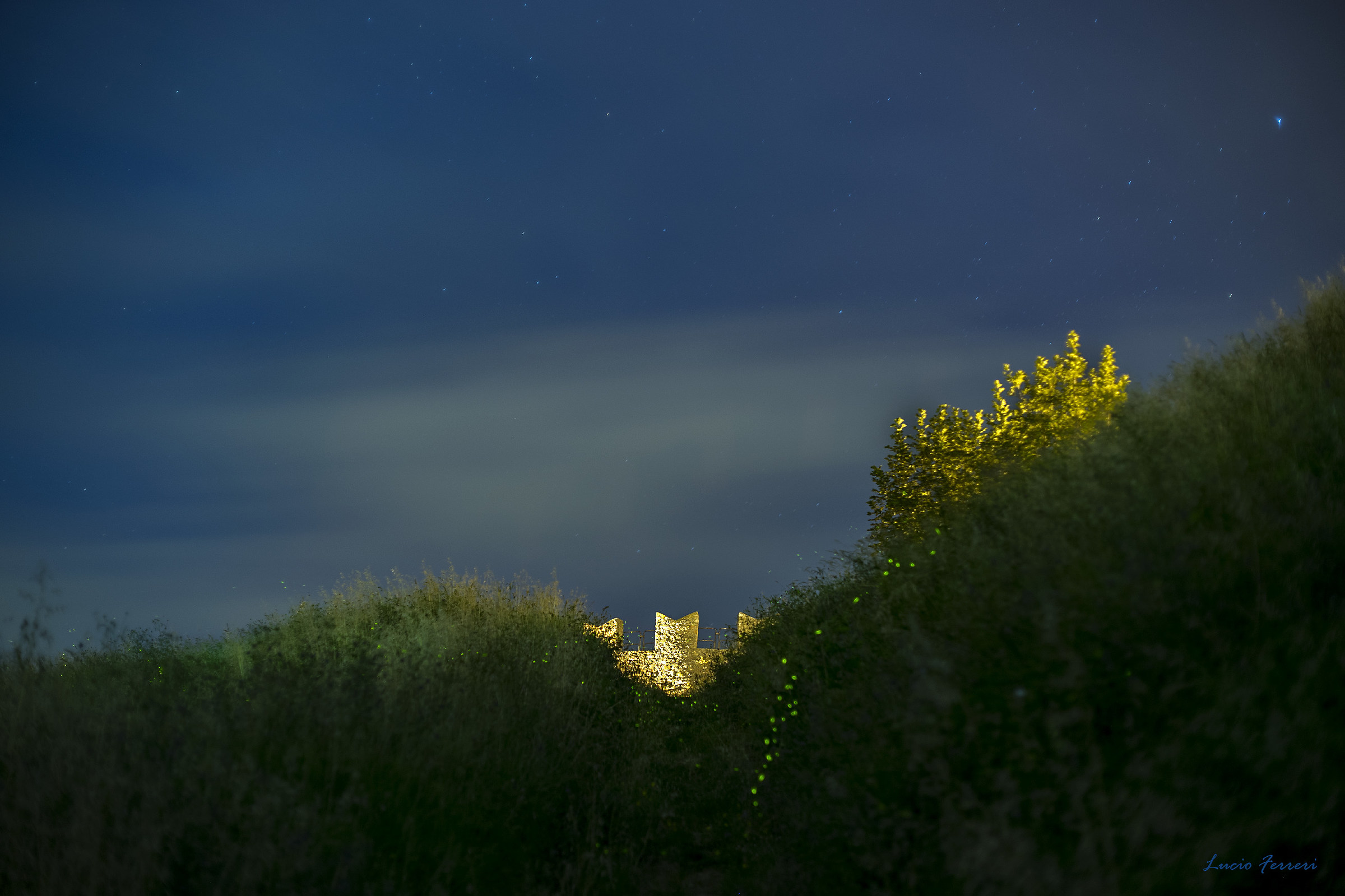 Lucciole sotto la torre