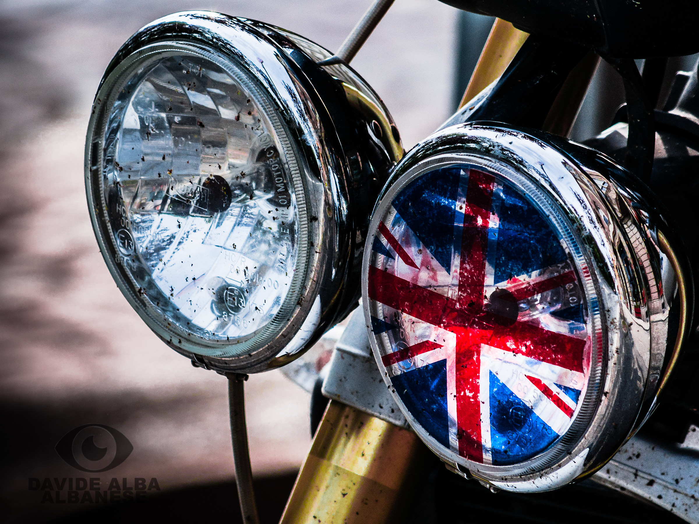 The best things in life prancing. (Anonymous)