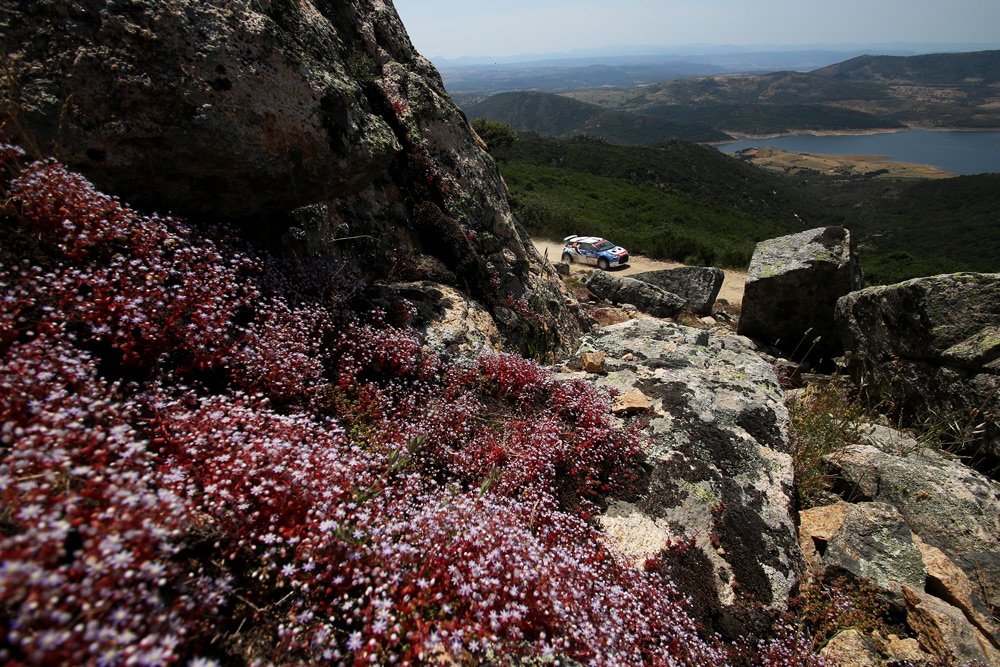 Rally Sardinia 2016