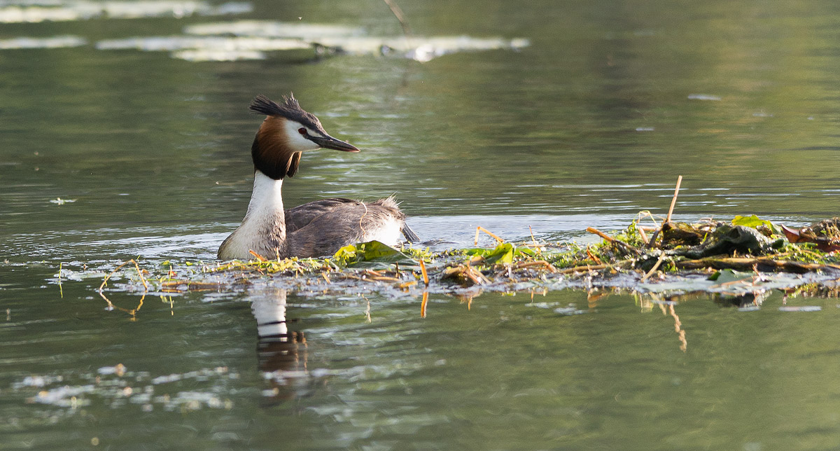 River Sile locations casier