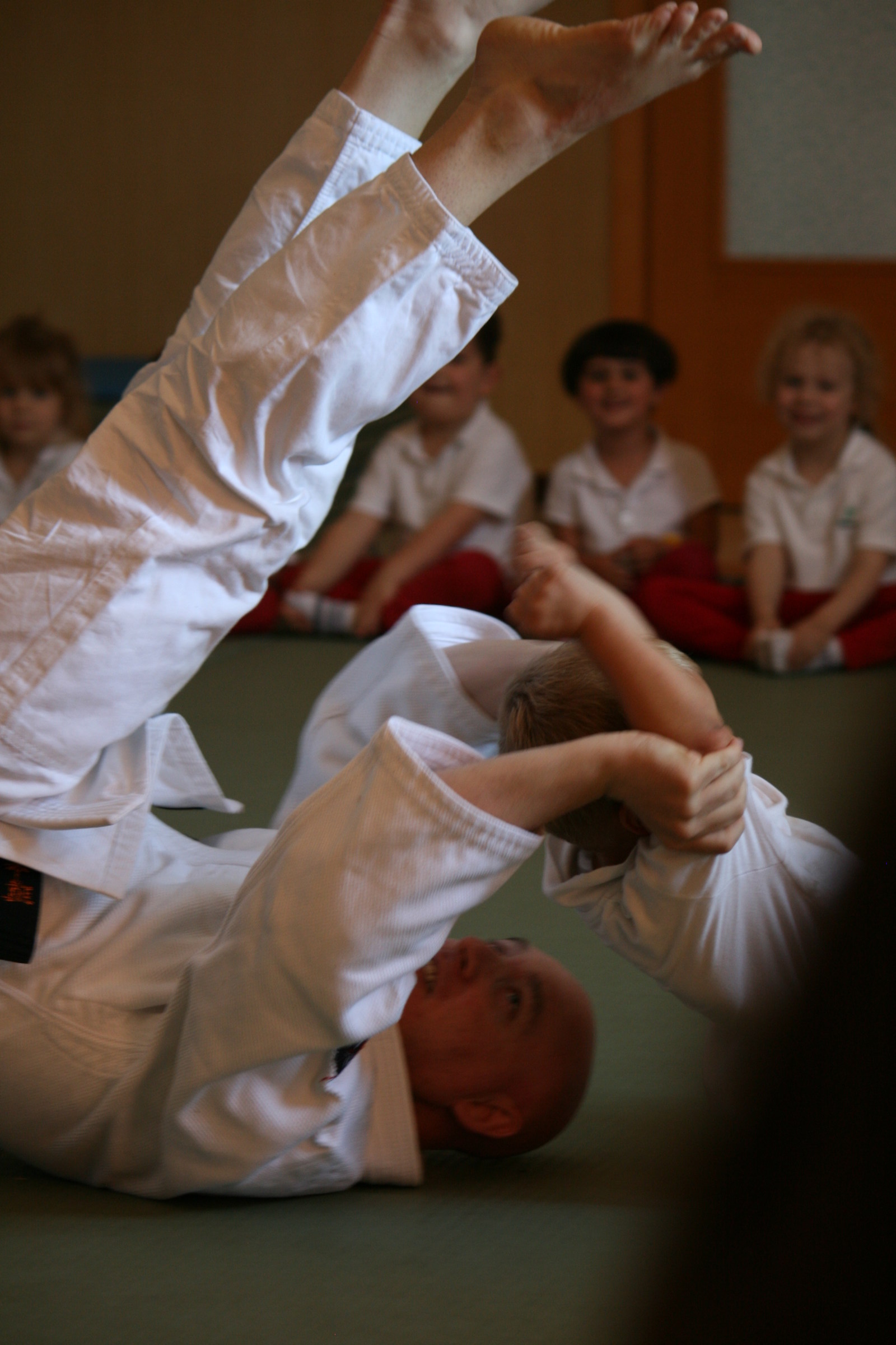 Mini Judo lessons