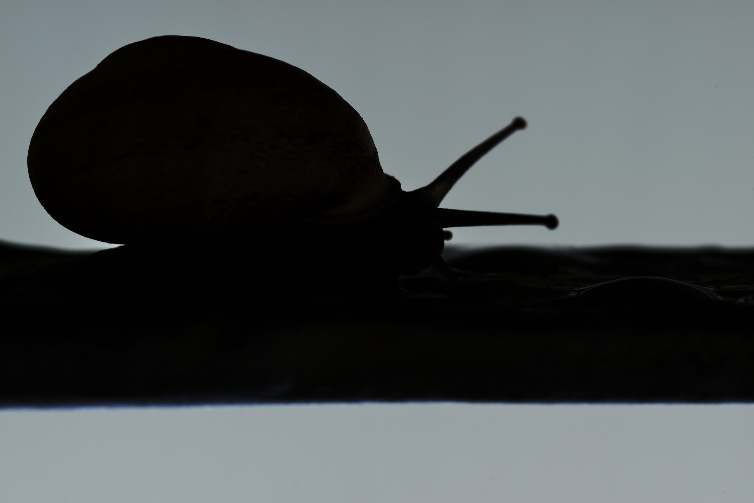 ...Verso un nuovo giorno...