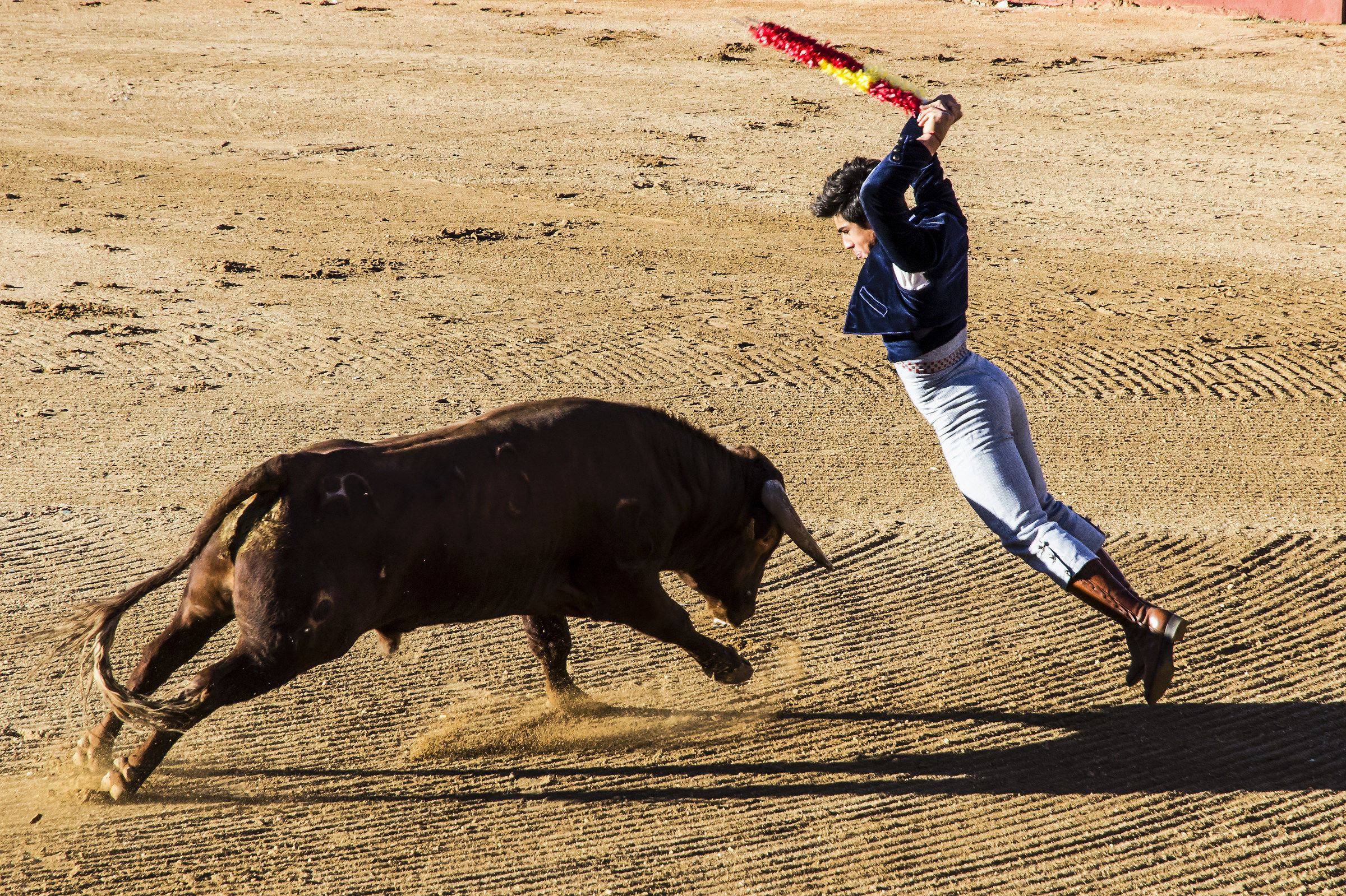 Bullfight # 1