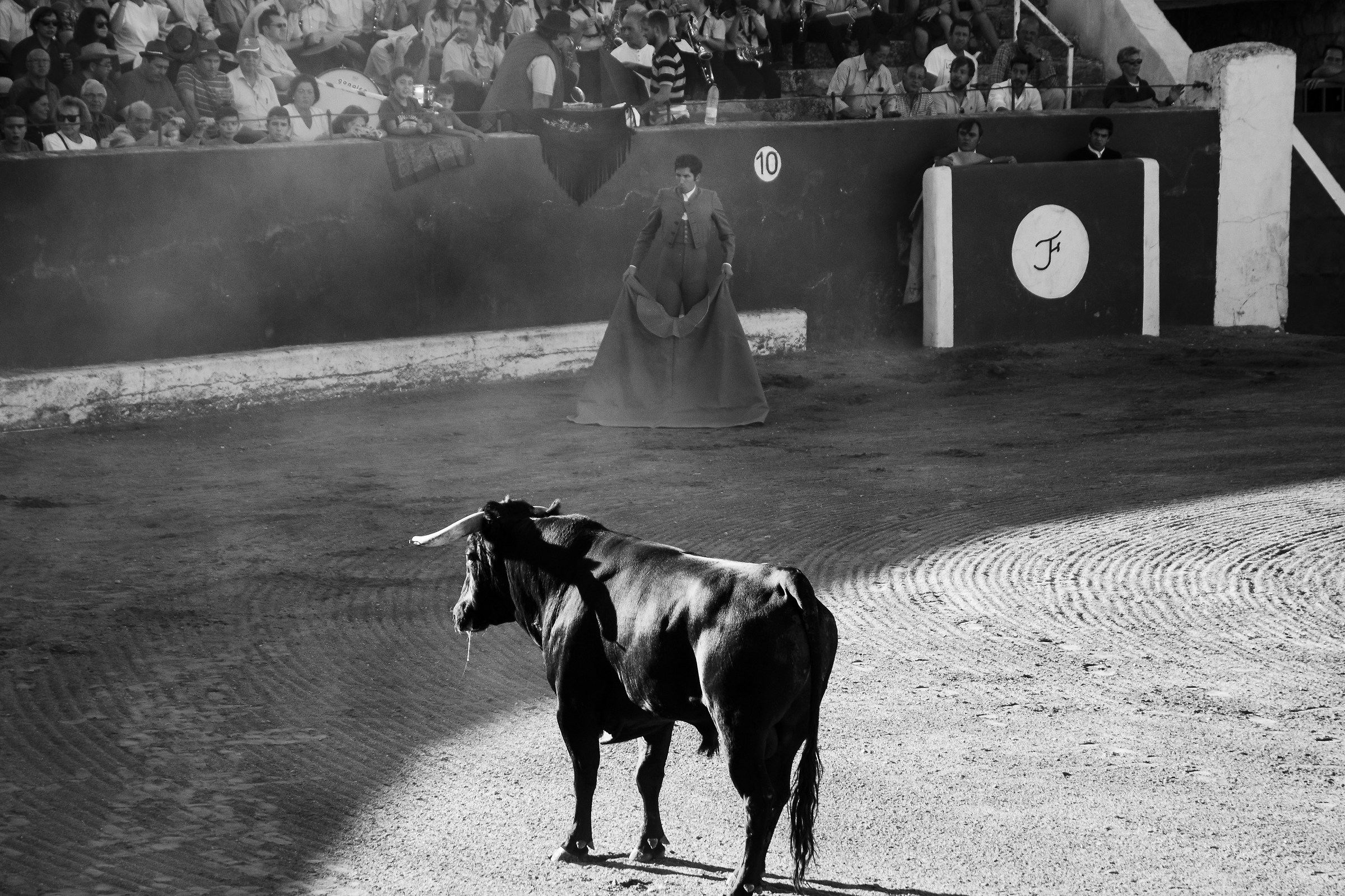 Bullfight # 2