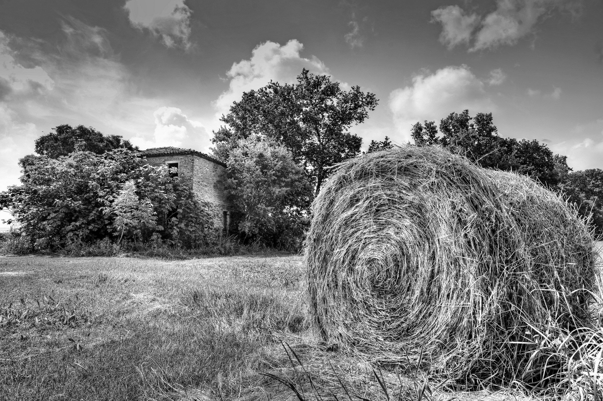 Campagna ferrarese 2