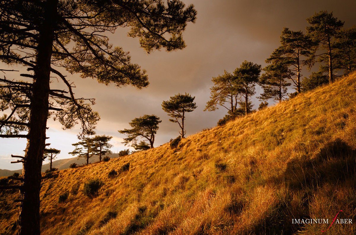 Sentiero Gran Cornice