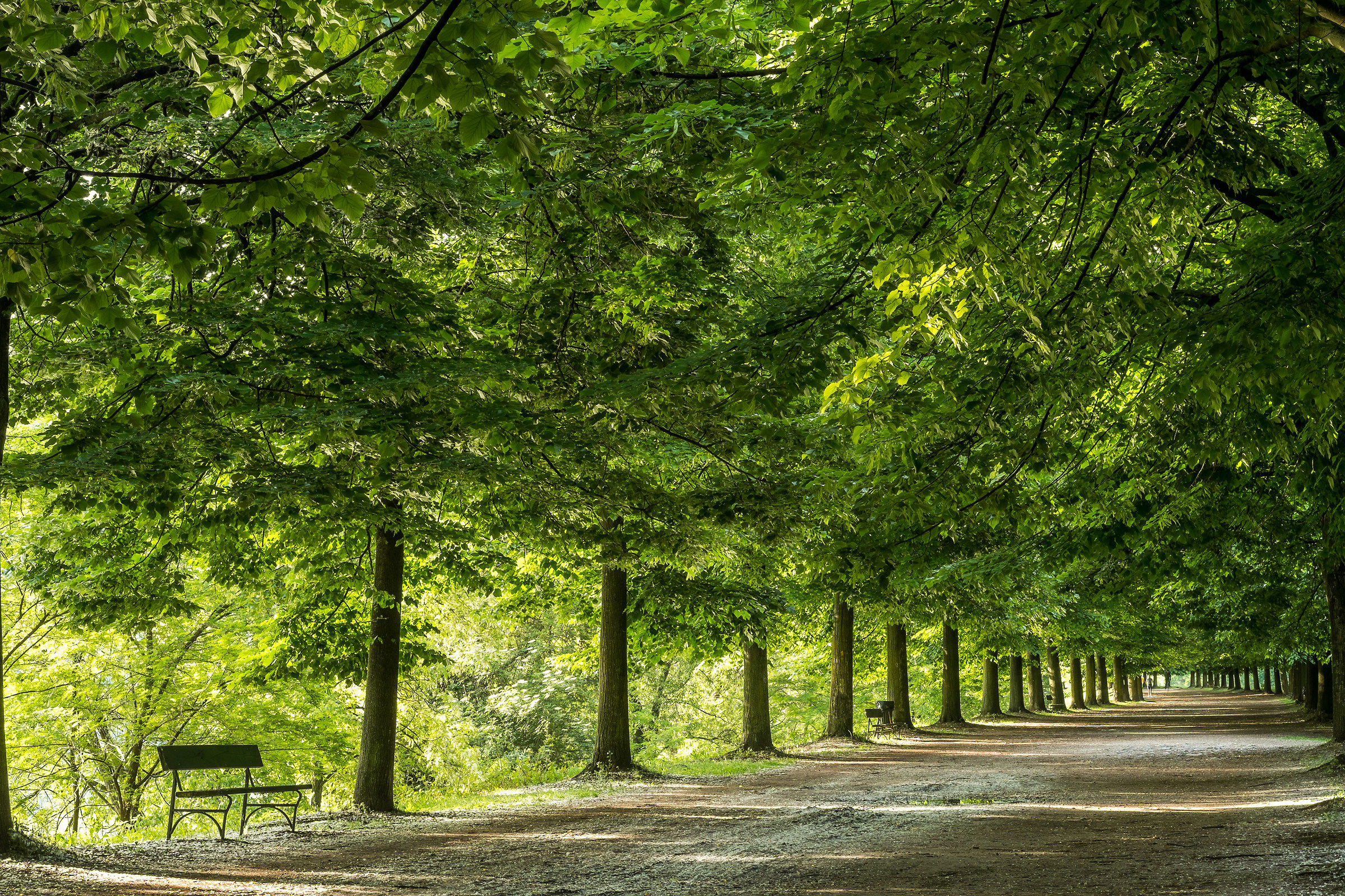 Park collection Torino