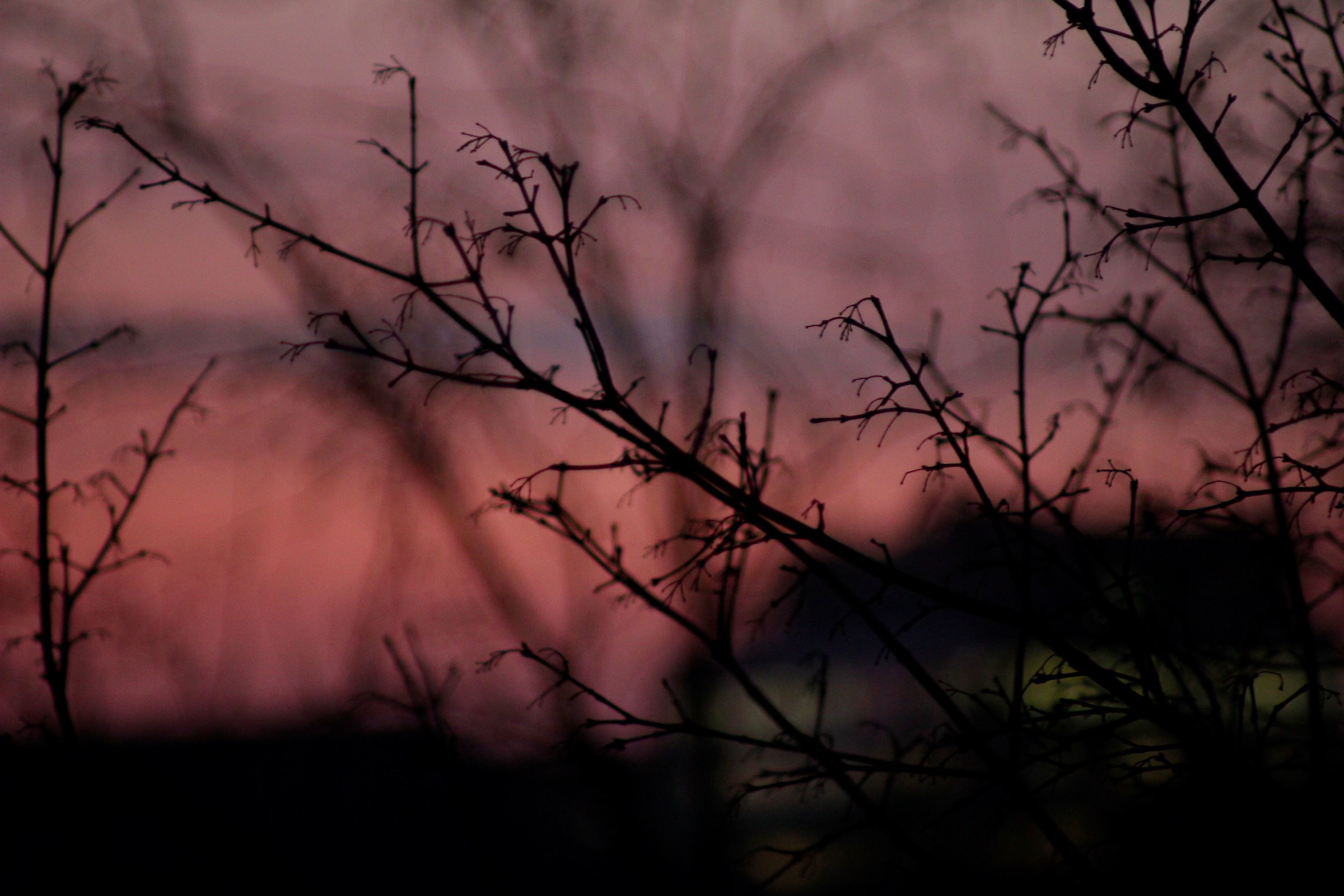 Un tramonto sfuocato