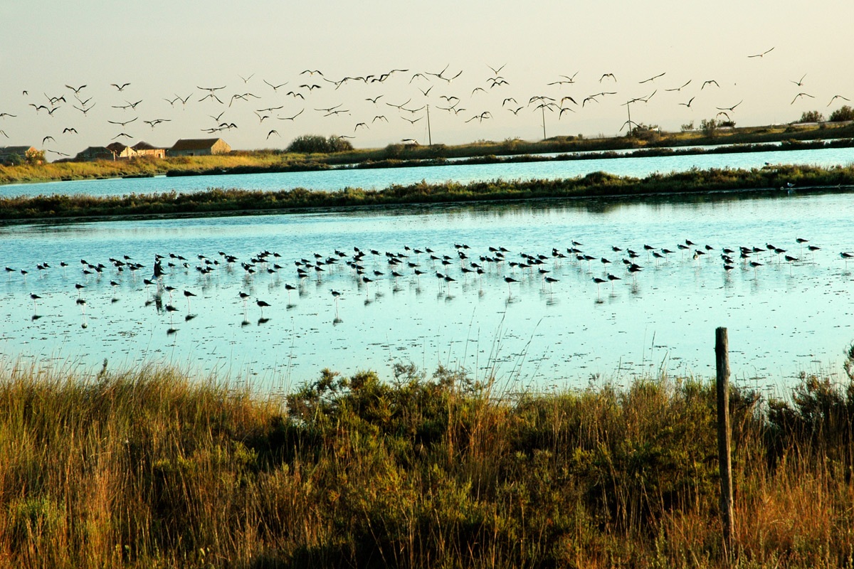 Sunset in the company