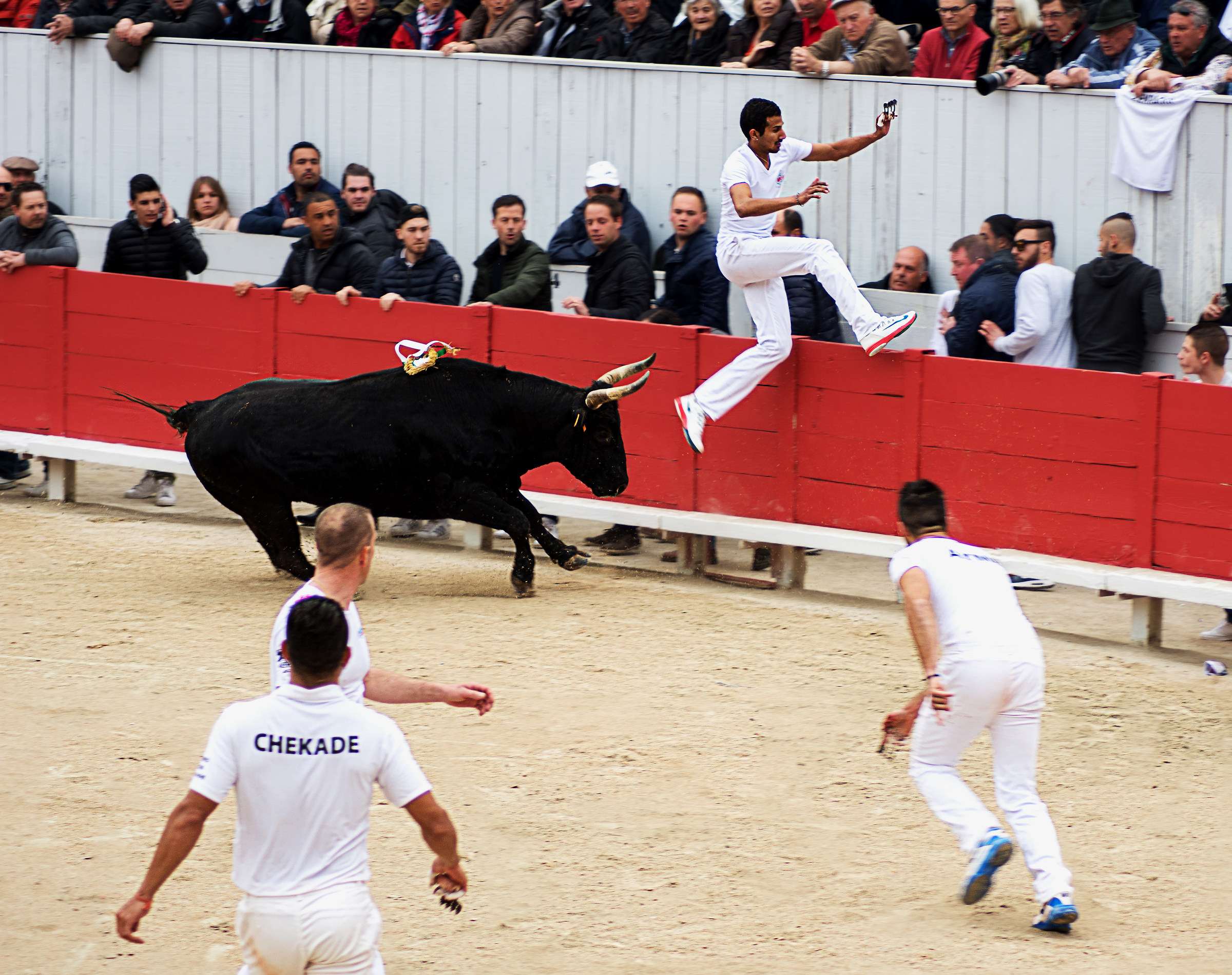 la course camarguaise Arles