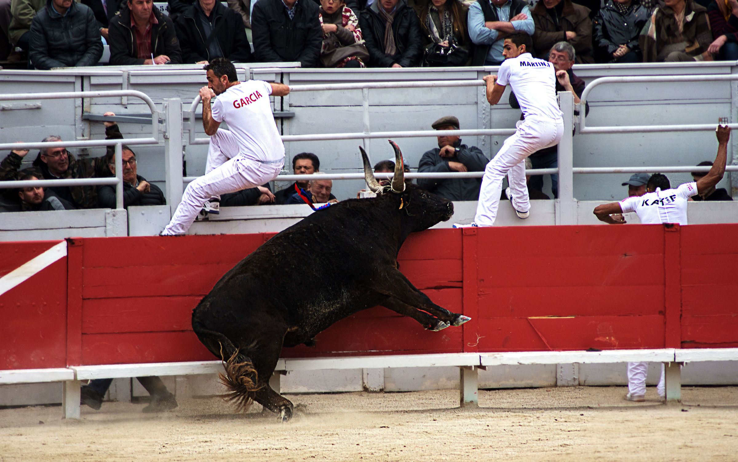 la course camarguaise di Arles
